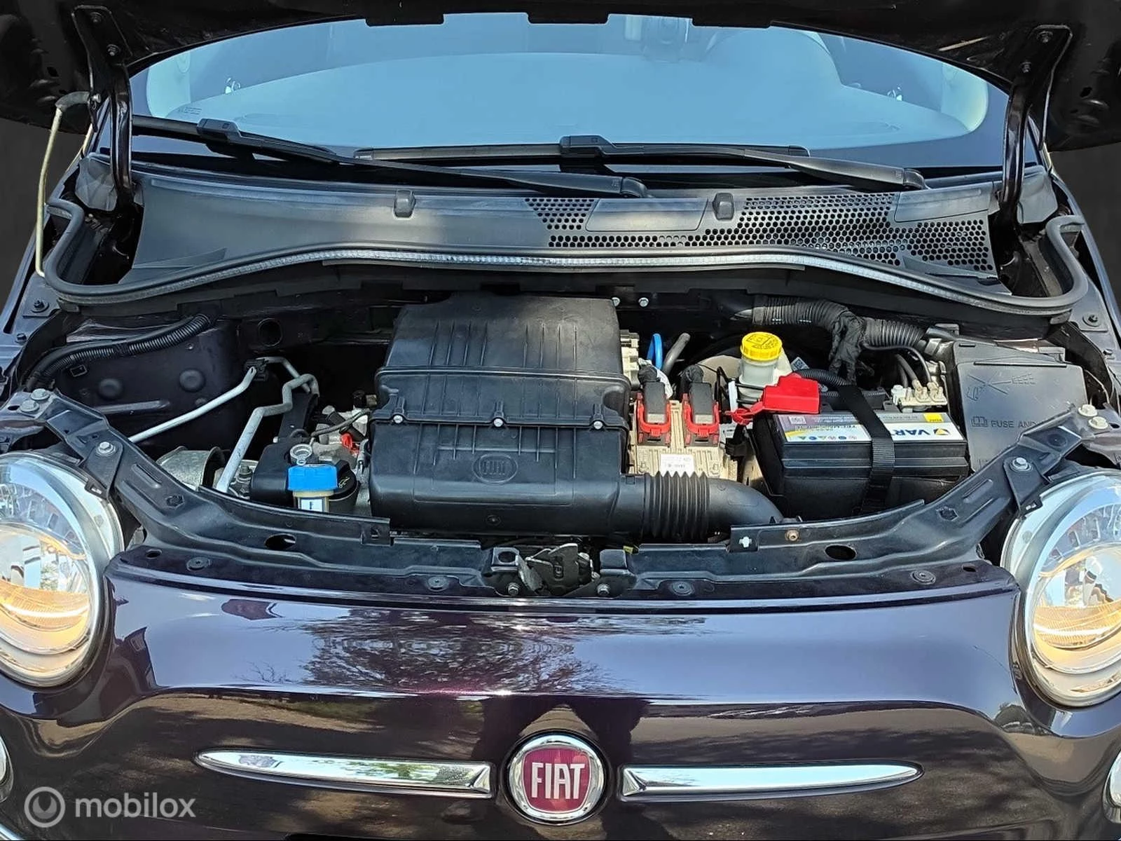 Hoofdafbeelding Fiat 500
