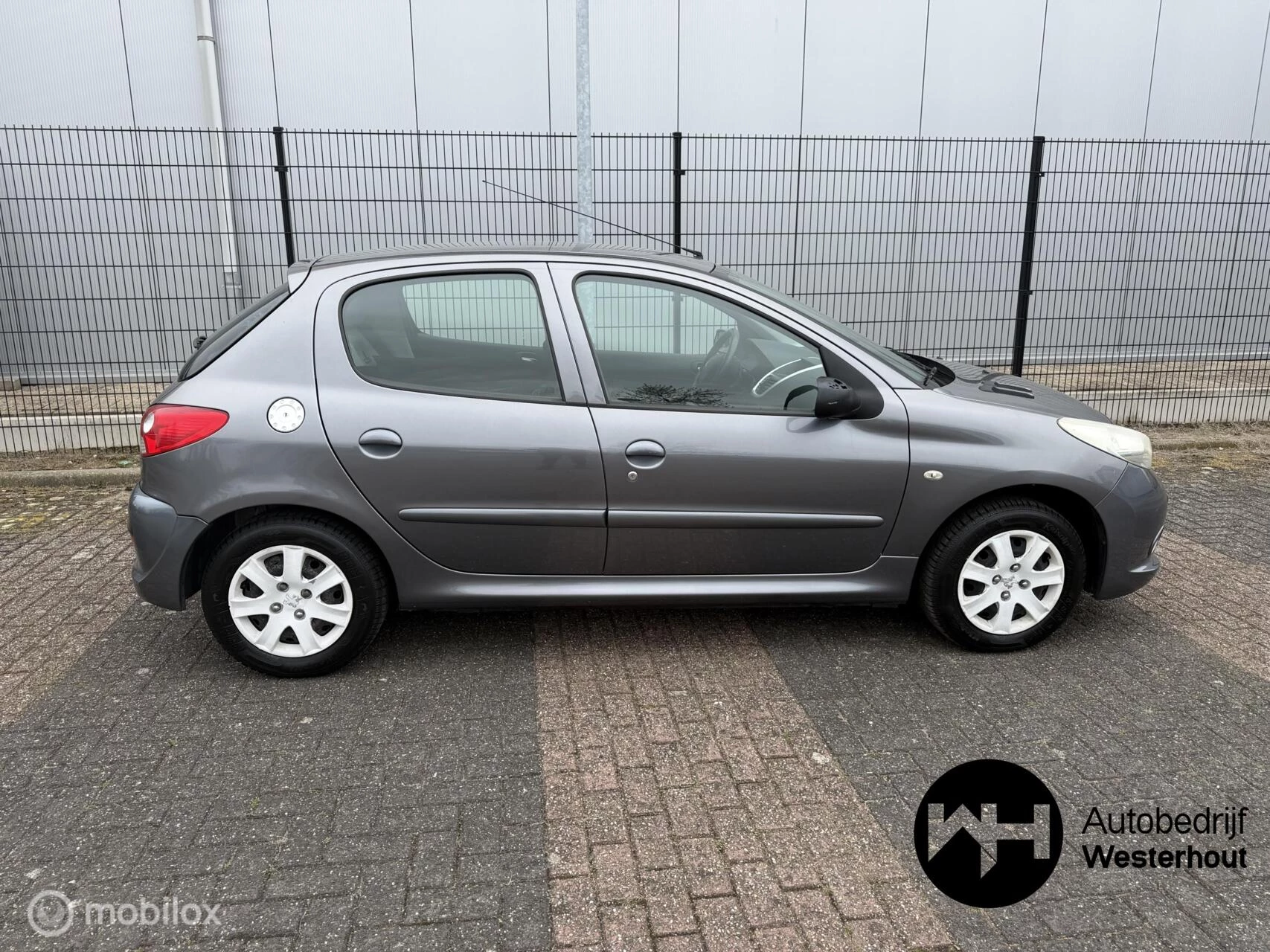 Hoofdafbeelding Peugeot 206