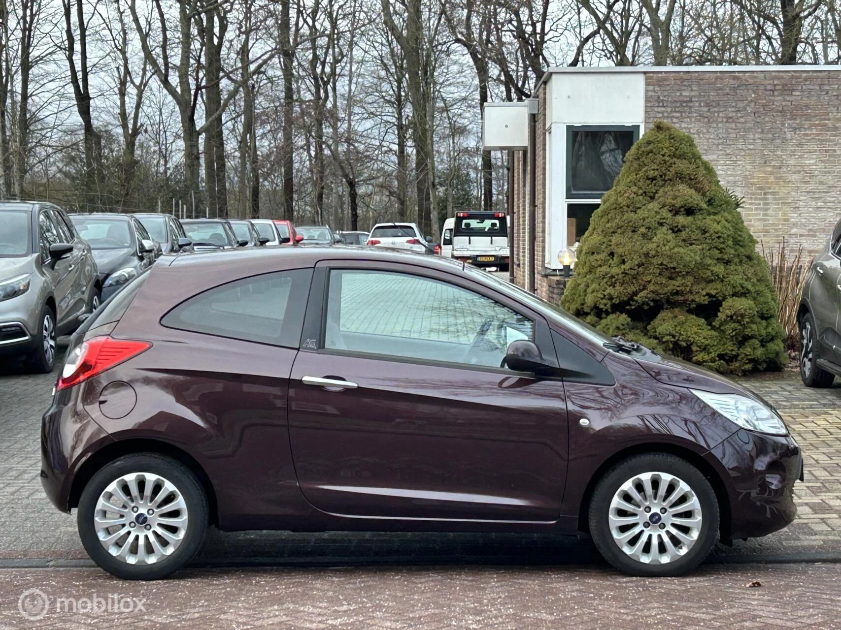 Hoofdafbeelding Ford Ka