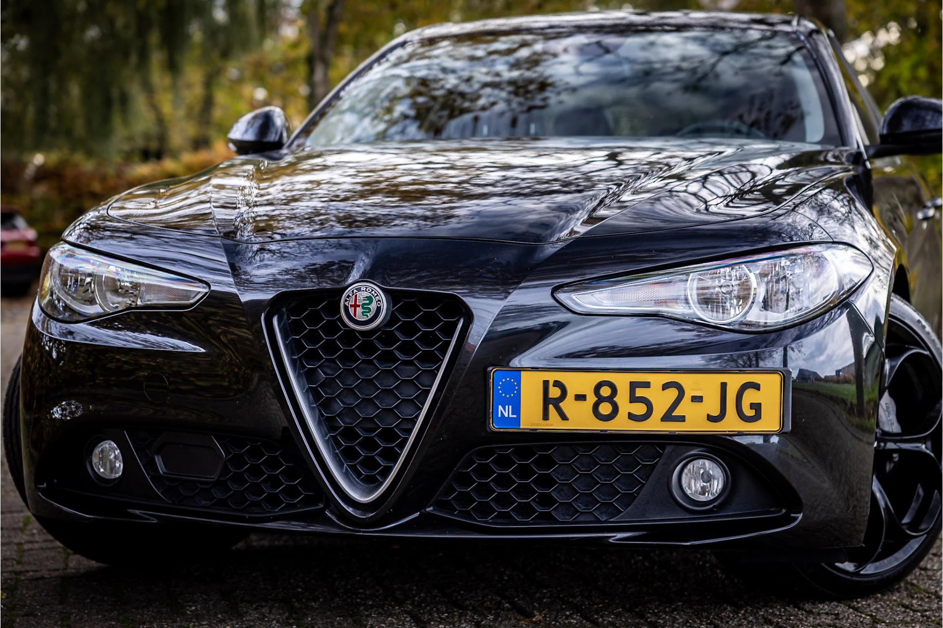 Hoofdafbeelding Alfa Romeo Giulia