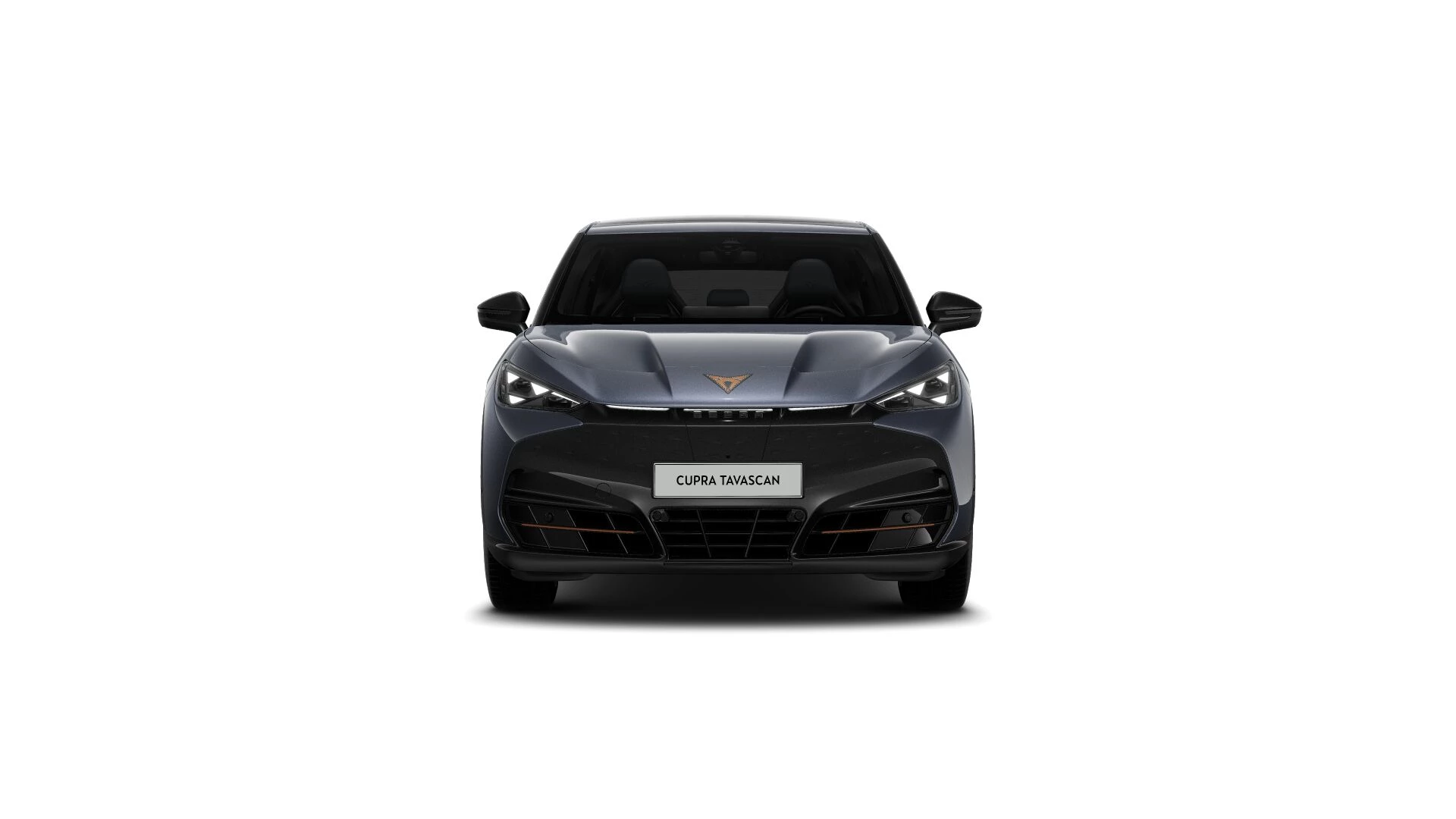 Hoofdafbeelding CUPRA Tavascan