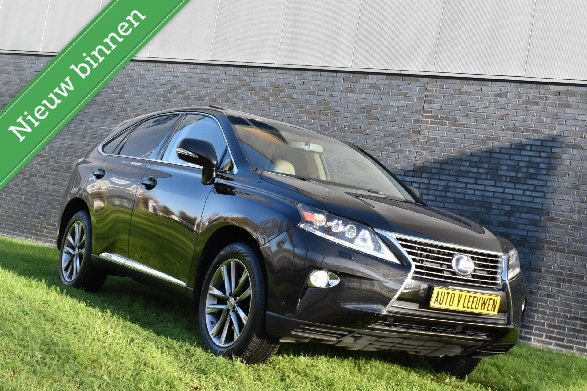 Hoofdafbeelding Lexus RX