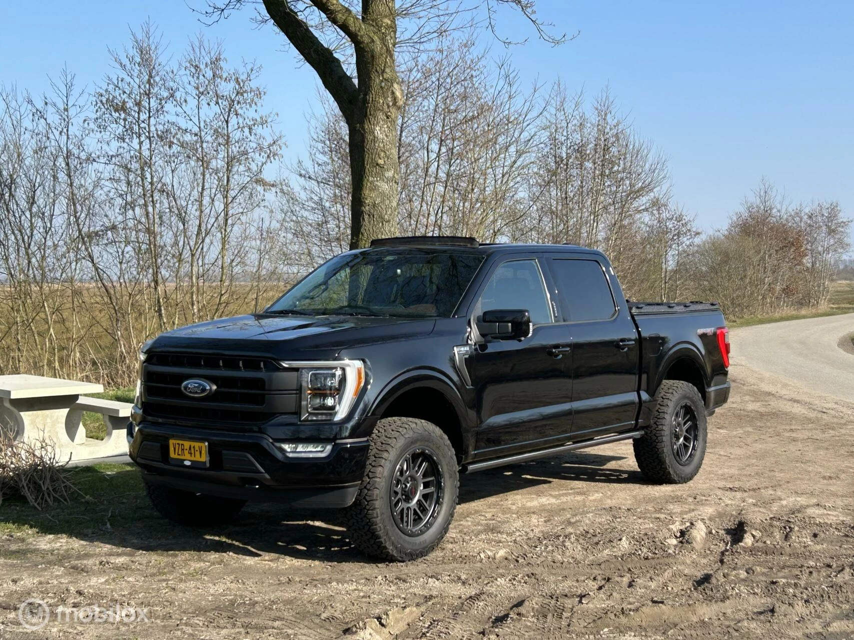 Hoofdafbeelding Ford F-150