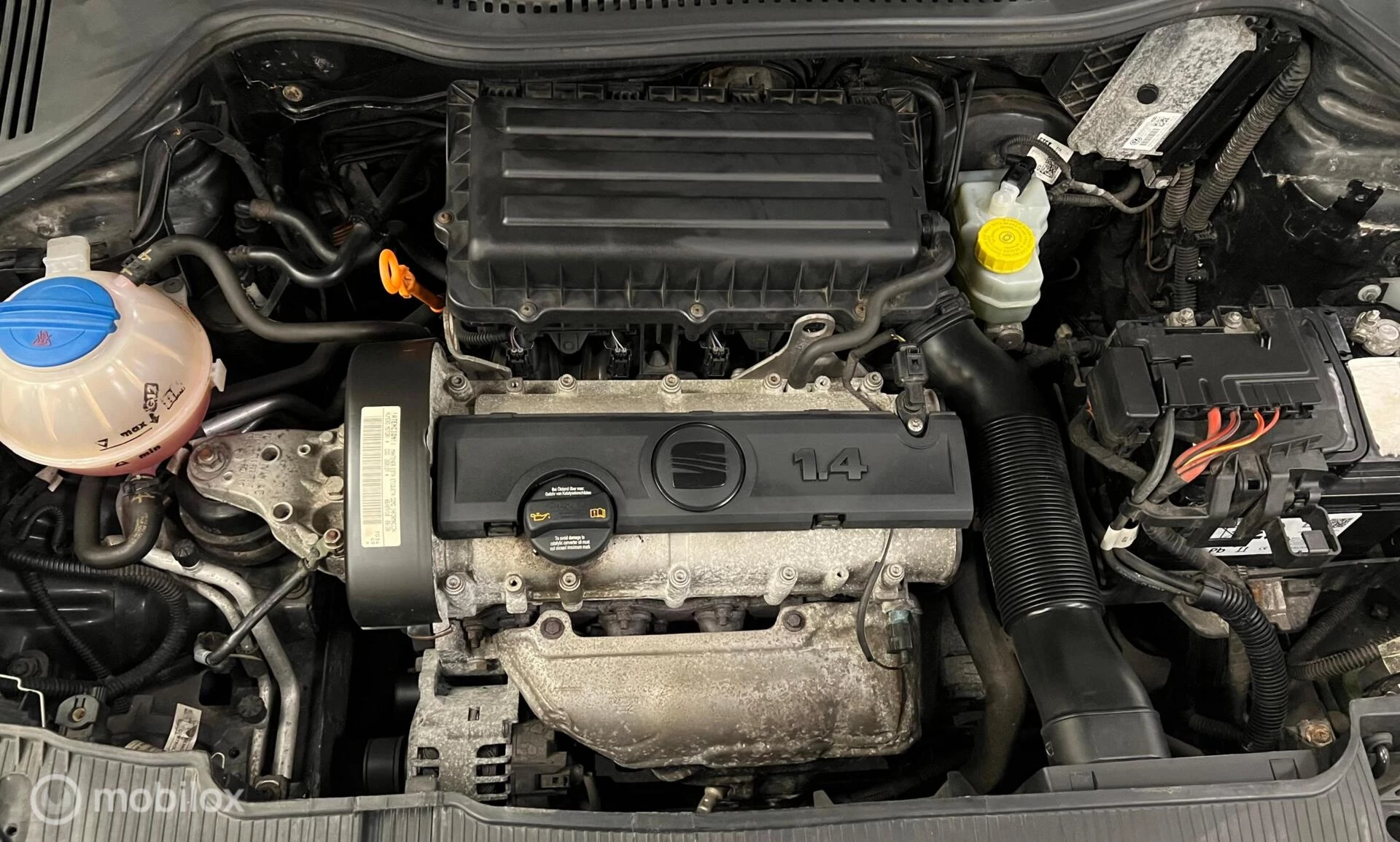 Hoofdafbeelding SEAT Ibiza