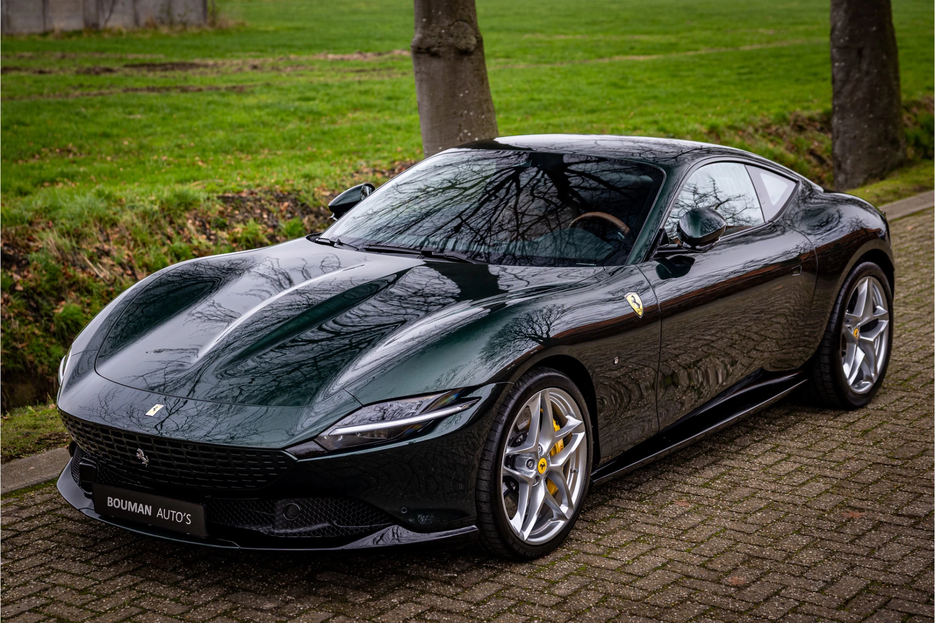 Hoofdafbeelding Ferrari Roma