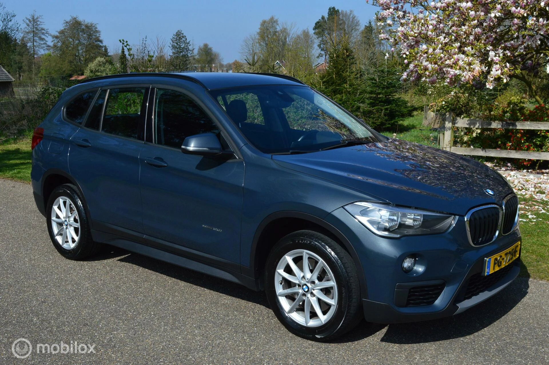 Hoofdafbeelding BMW X1