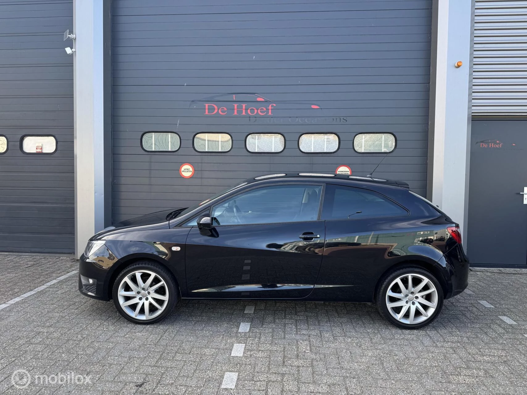 Hoofdafbeelding SEAT Ibiza