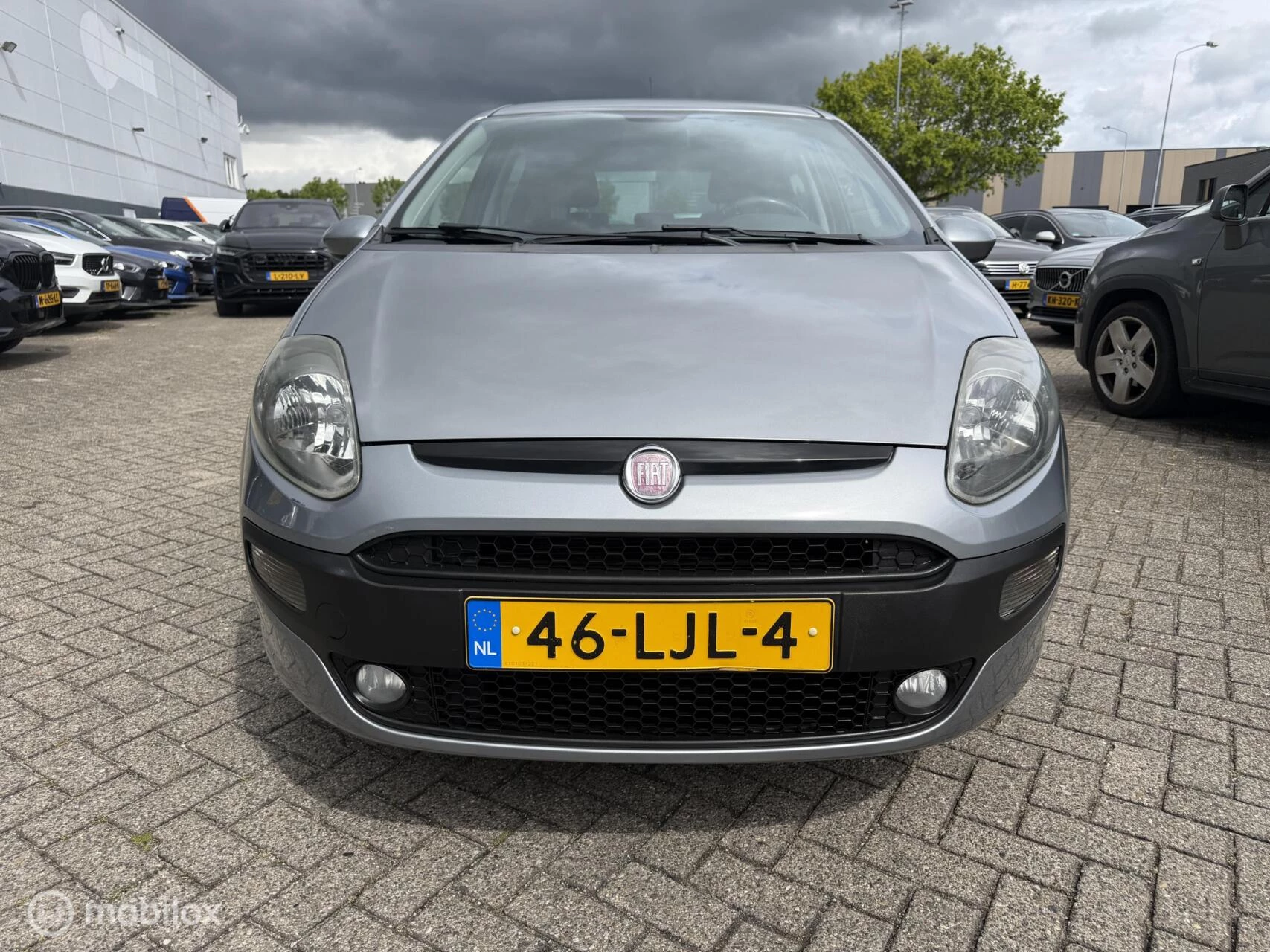Hoofdafbeelding Fiat Punto