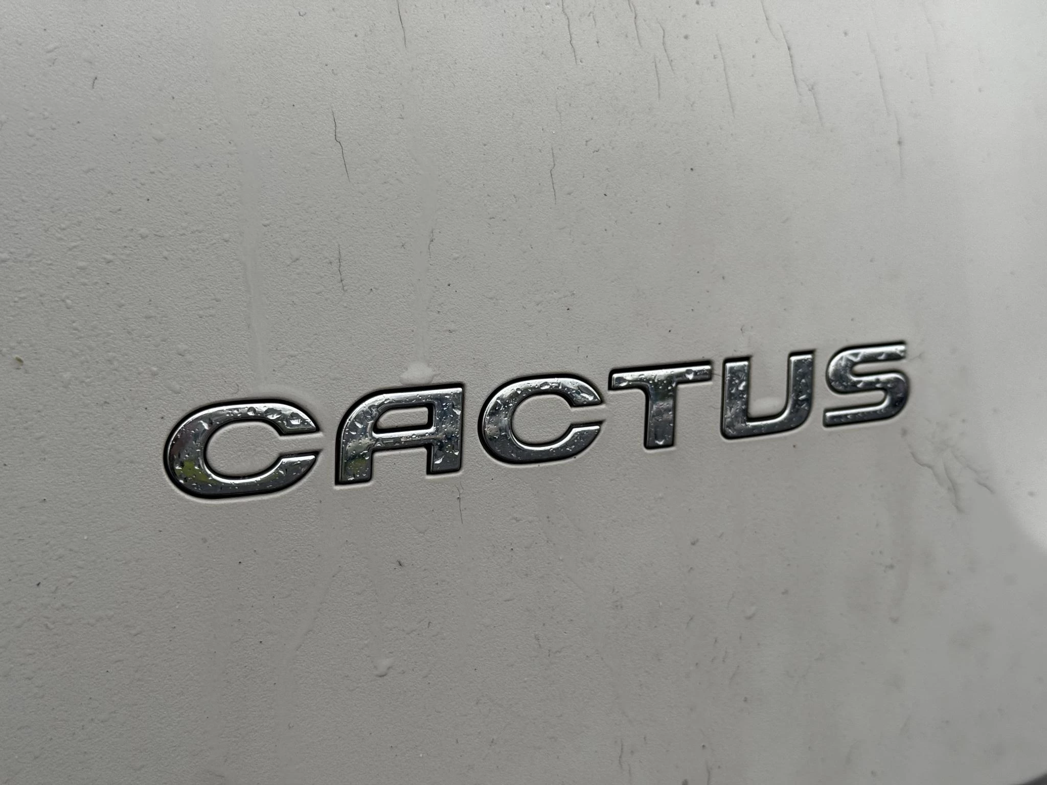 Hoofdafbeelding Citroën C4 Cactus