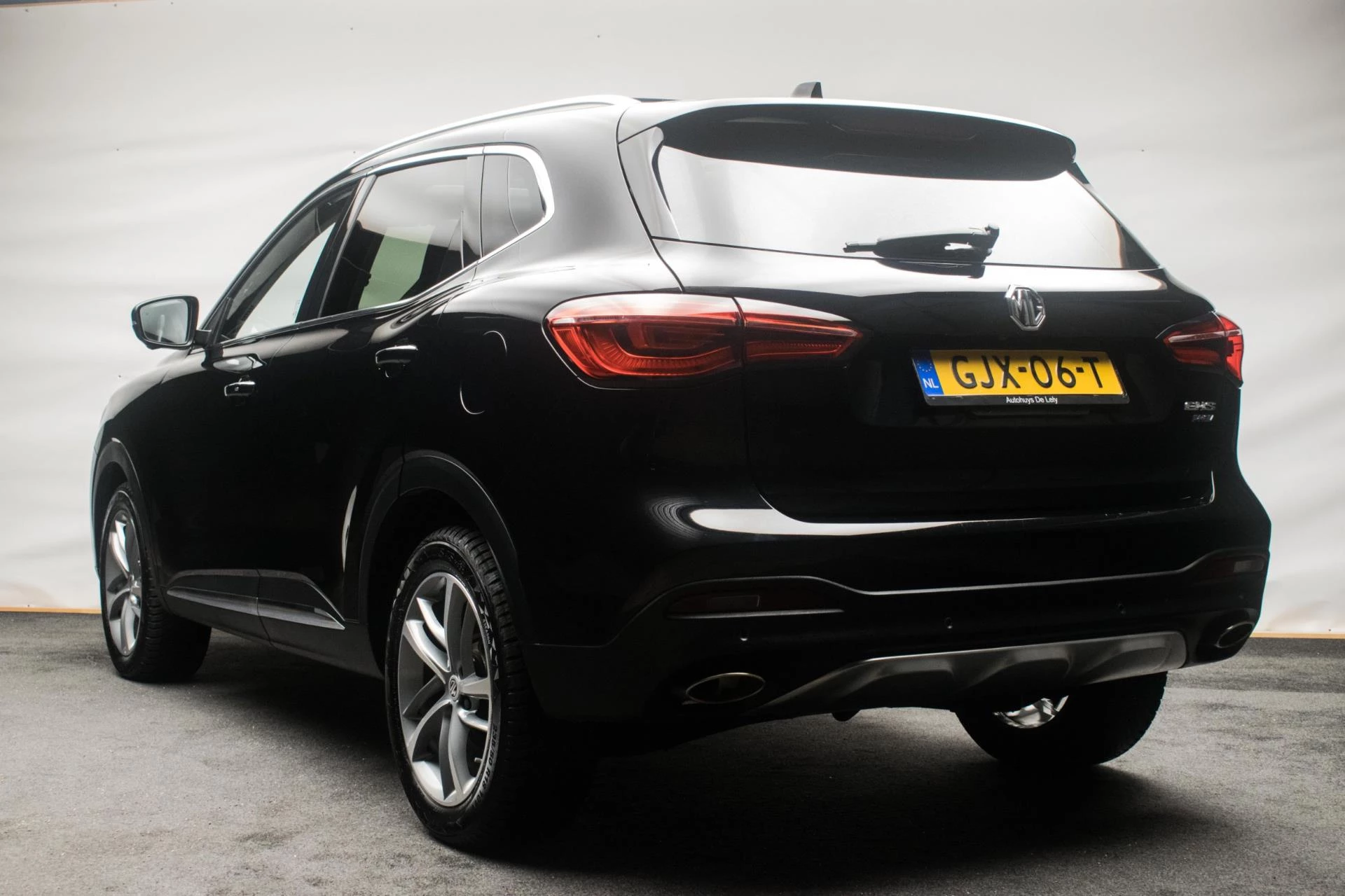 Hoofdafbeelding MG EHS