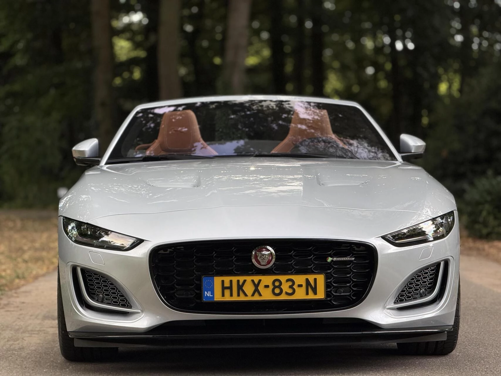 Hoofdafbeelding Jaguar F-Type
