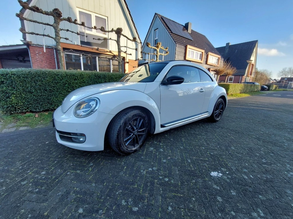 Hoofdafbeelding Volkswagen Beetle
