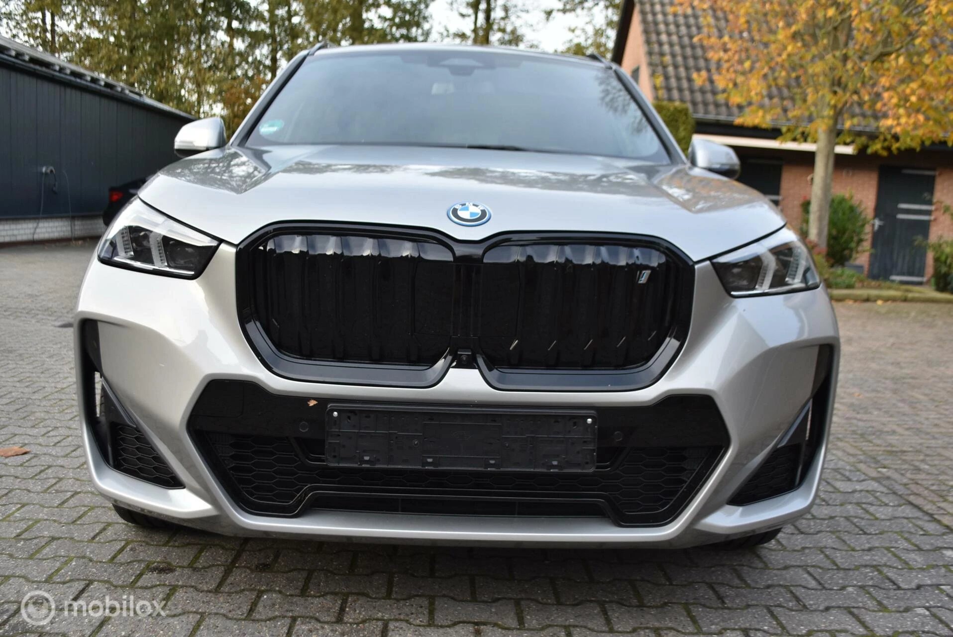 Hoofdafbeelding BMW iX1