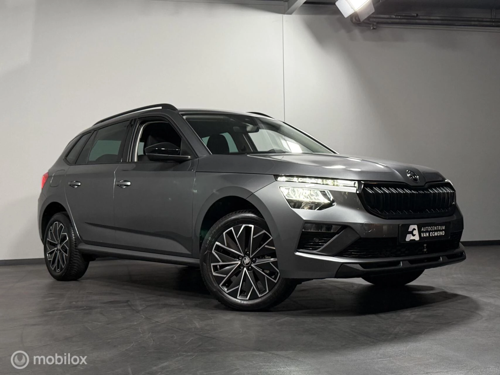 Hoofdafbeelding Škoda Kamiq