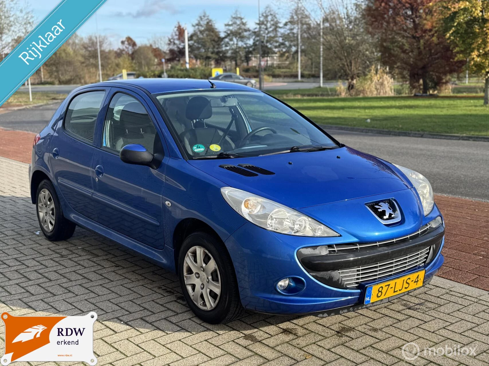 Hoofdafbeelding Peugeot 206