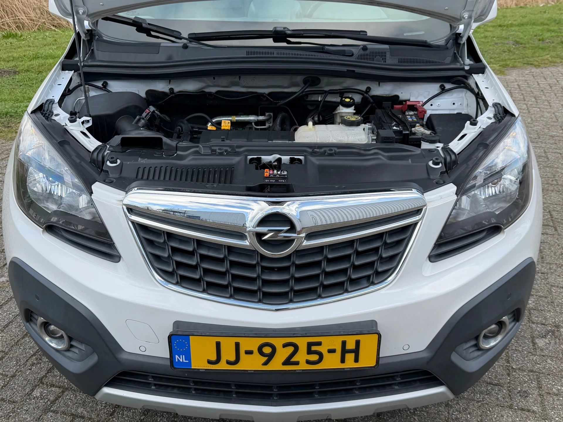 Hoofdafbeelding Opel Mokka