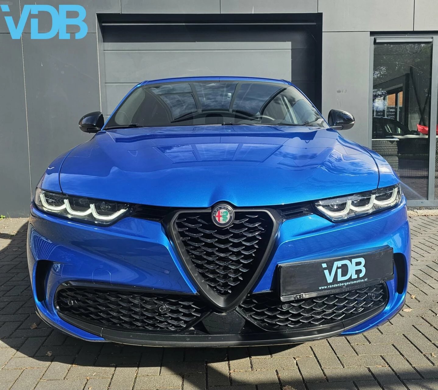 Hoofdafbeelding Alfa Romeo Tonale