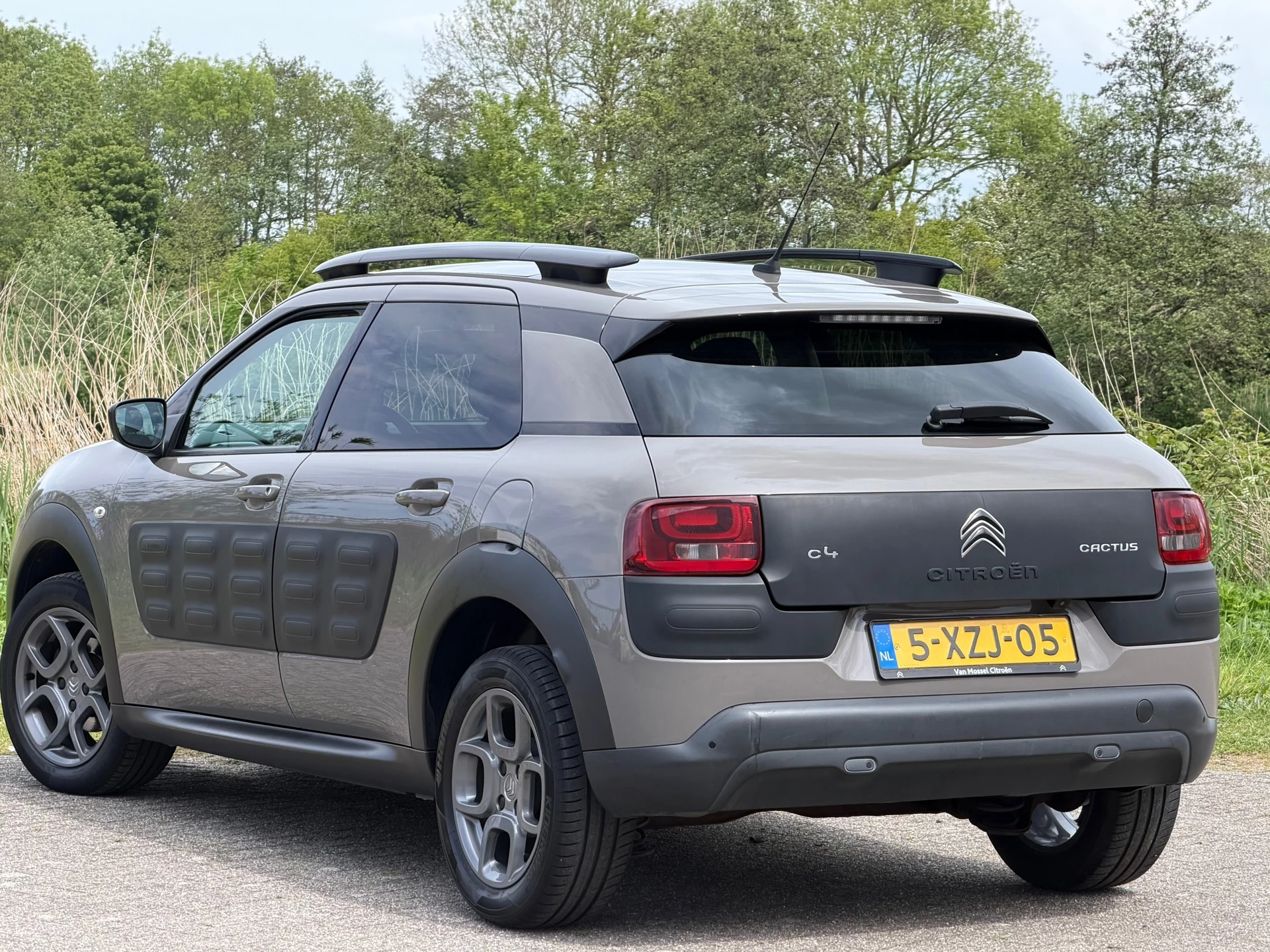 Hoofdafbeelding Citroën C4 Cactus