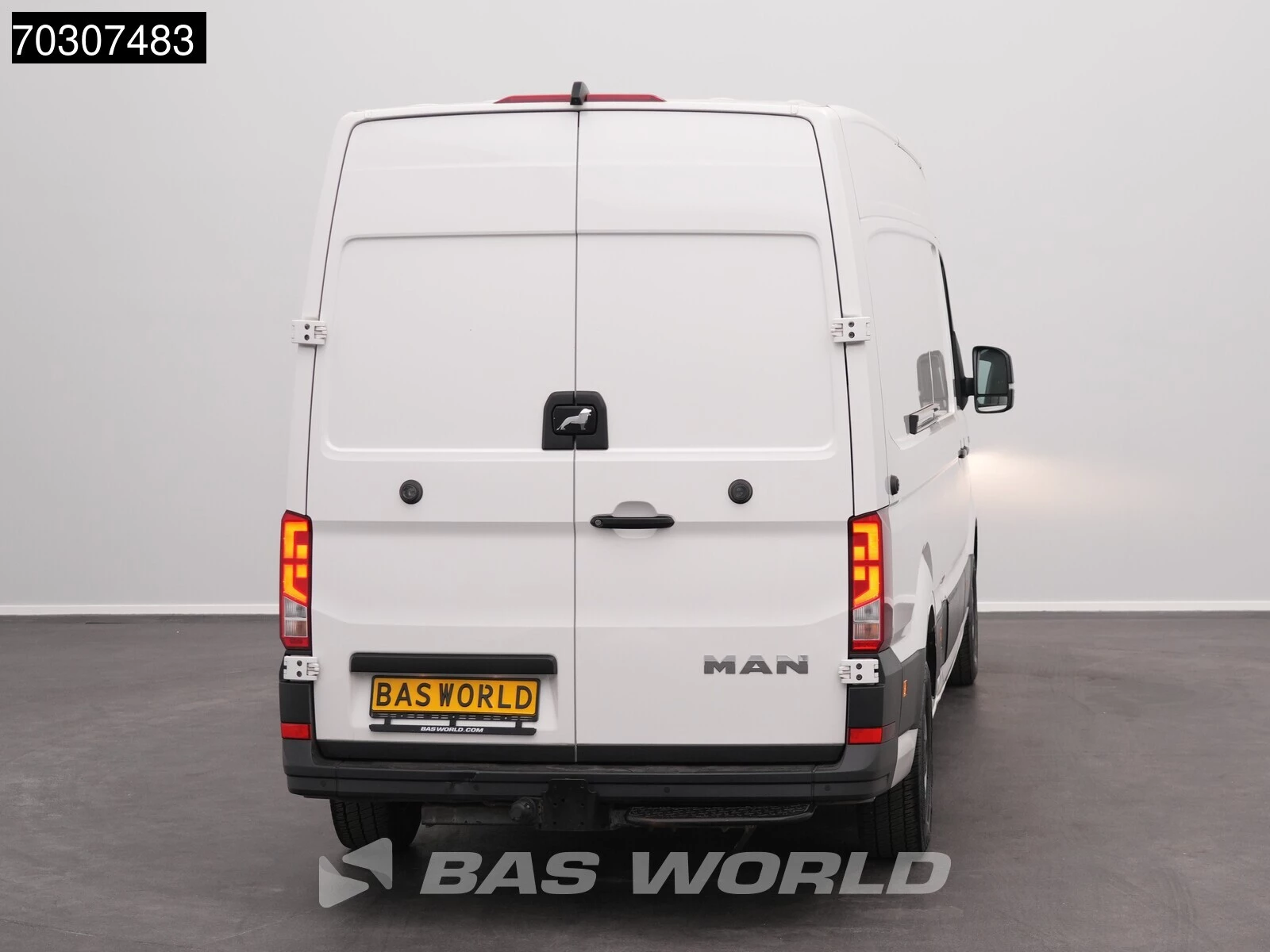 Hoofdafbeelding MAN TGE