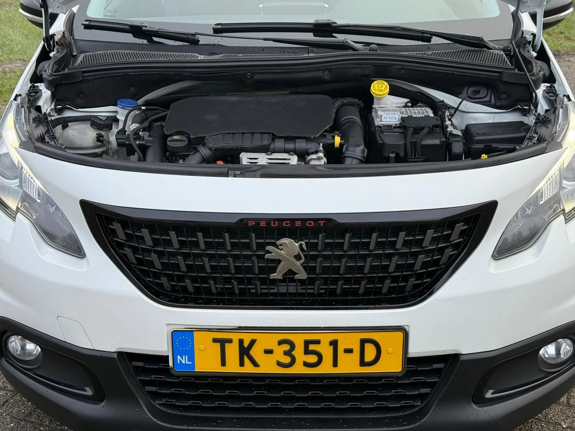 Hoofdafbeelding Peugeot 2008