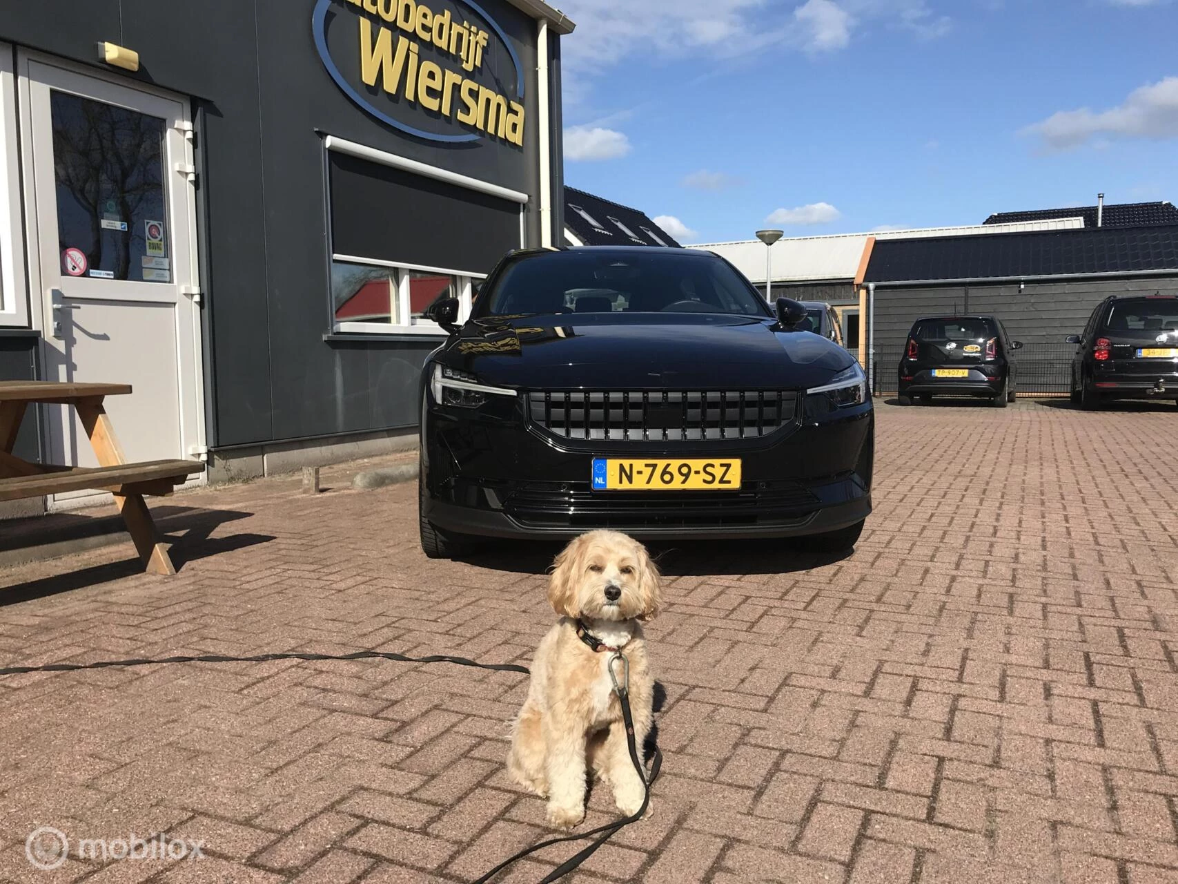 Hoofdafbeelding Polestar 2