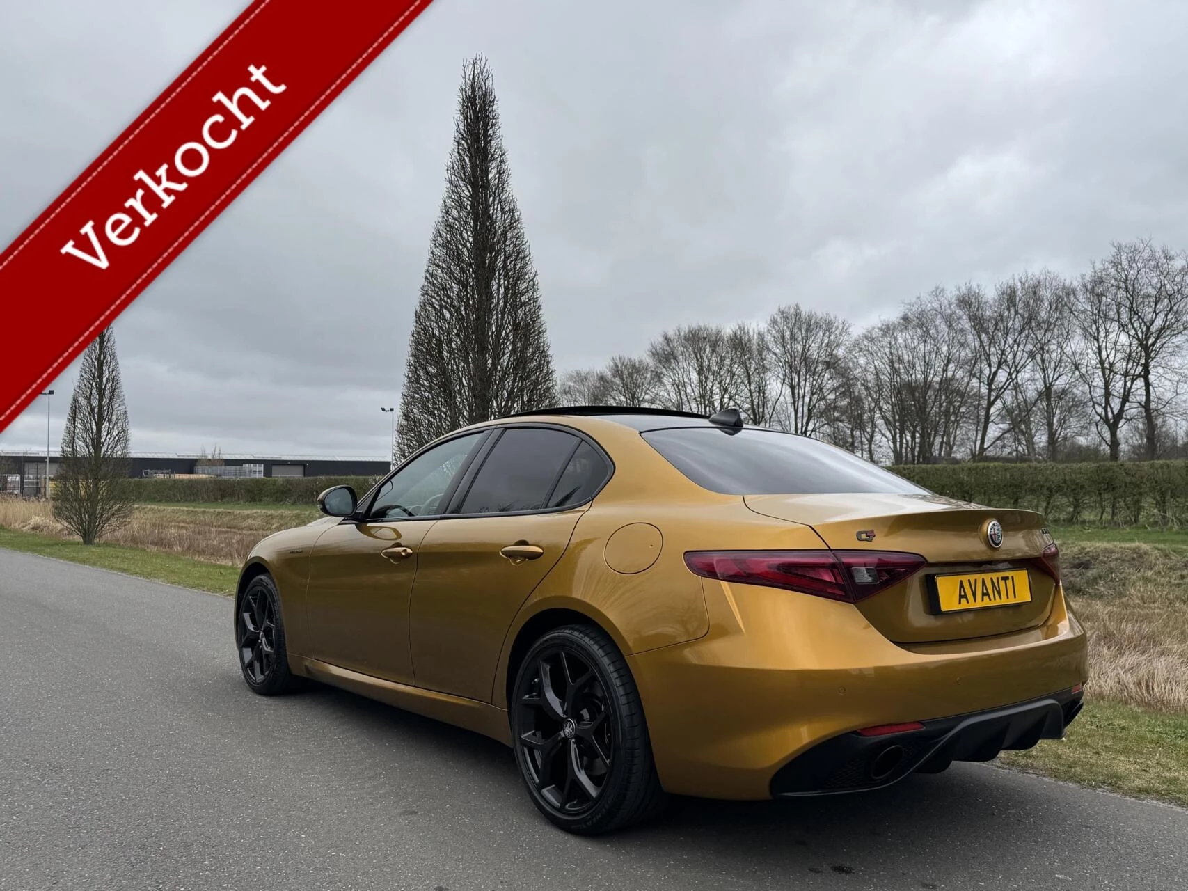 Hoofdafbeelding Alfa Romeo Giulia