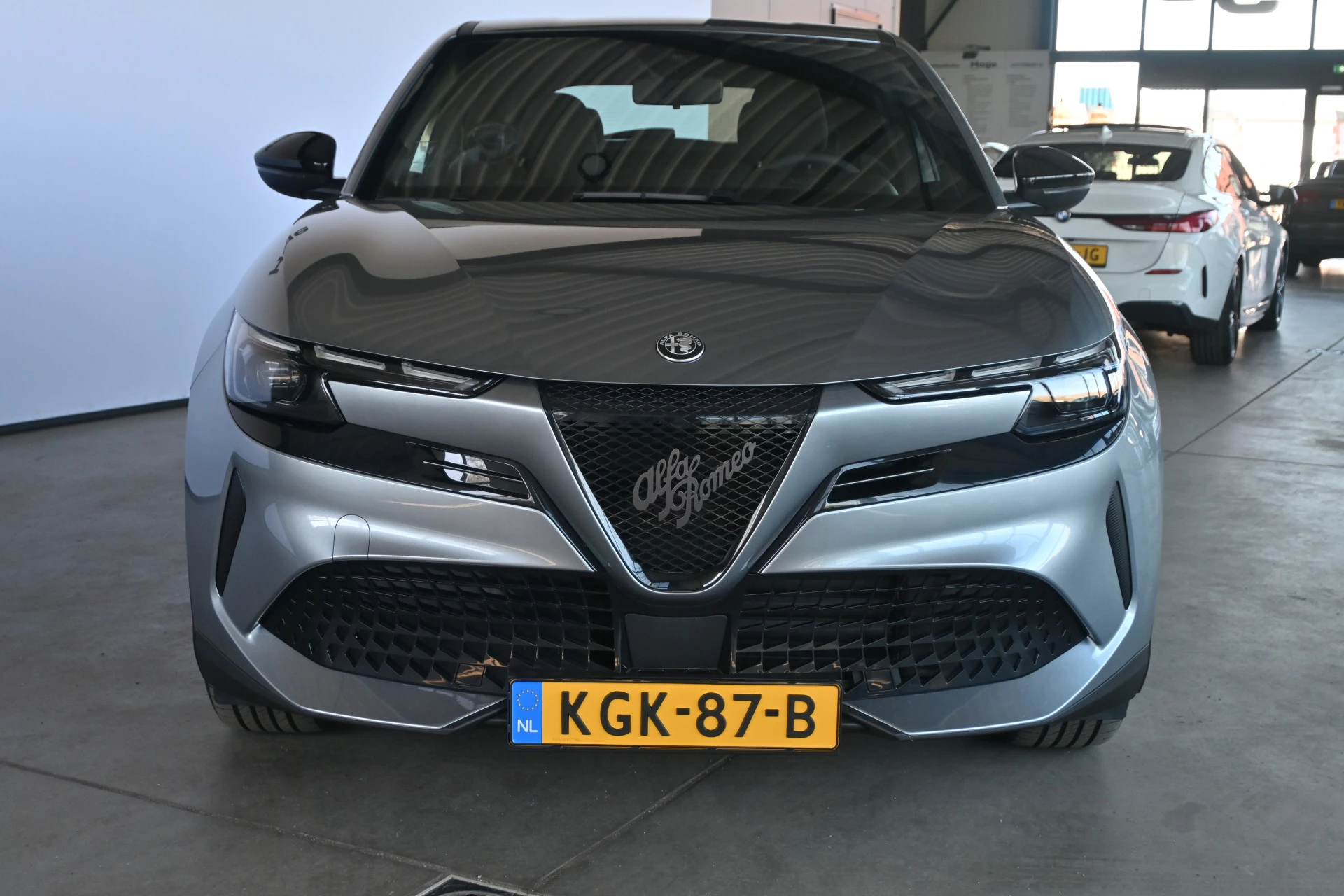 Hoofdafbeelding Alfa Romeo Junior