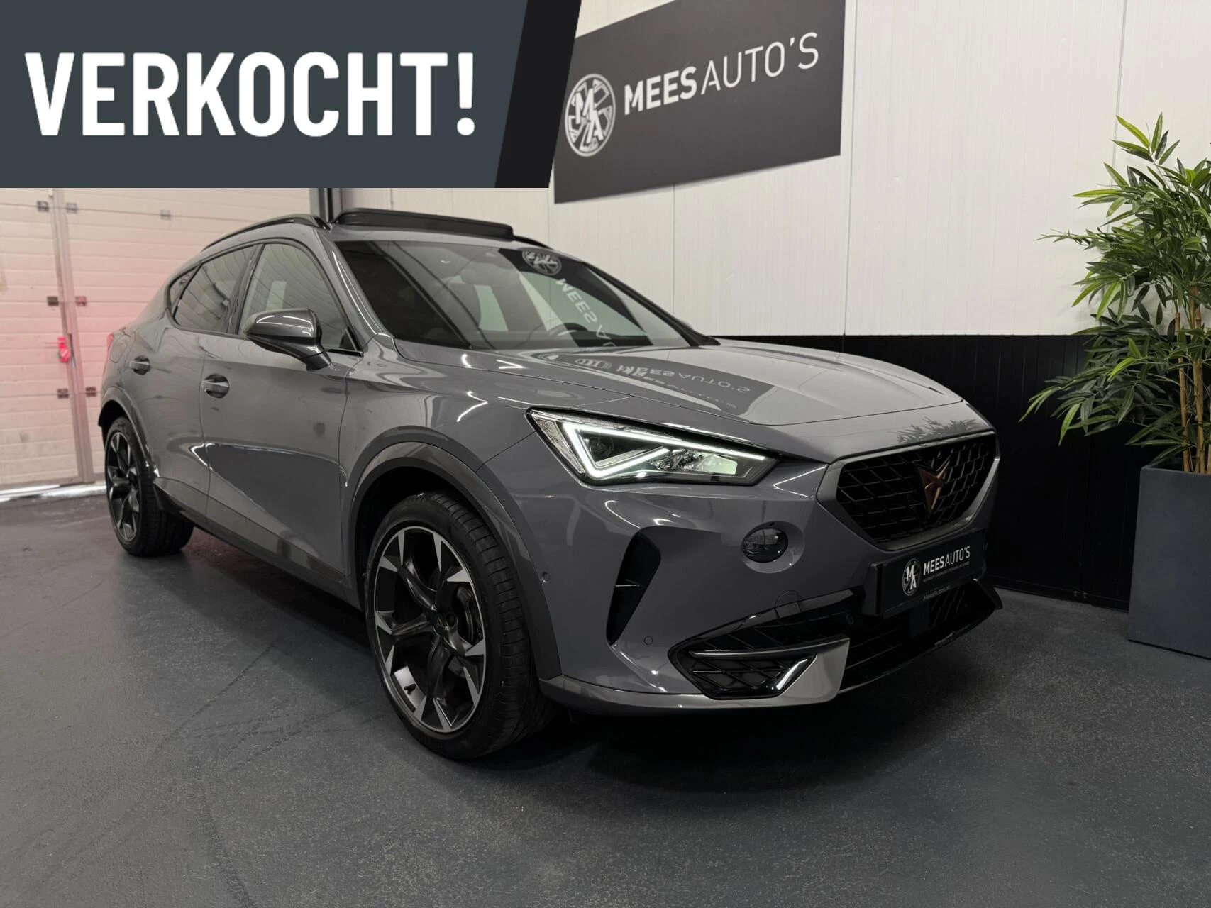 Hoofdafbeelding CUPRA Formentor