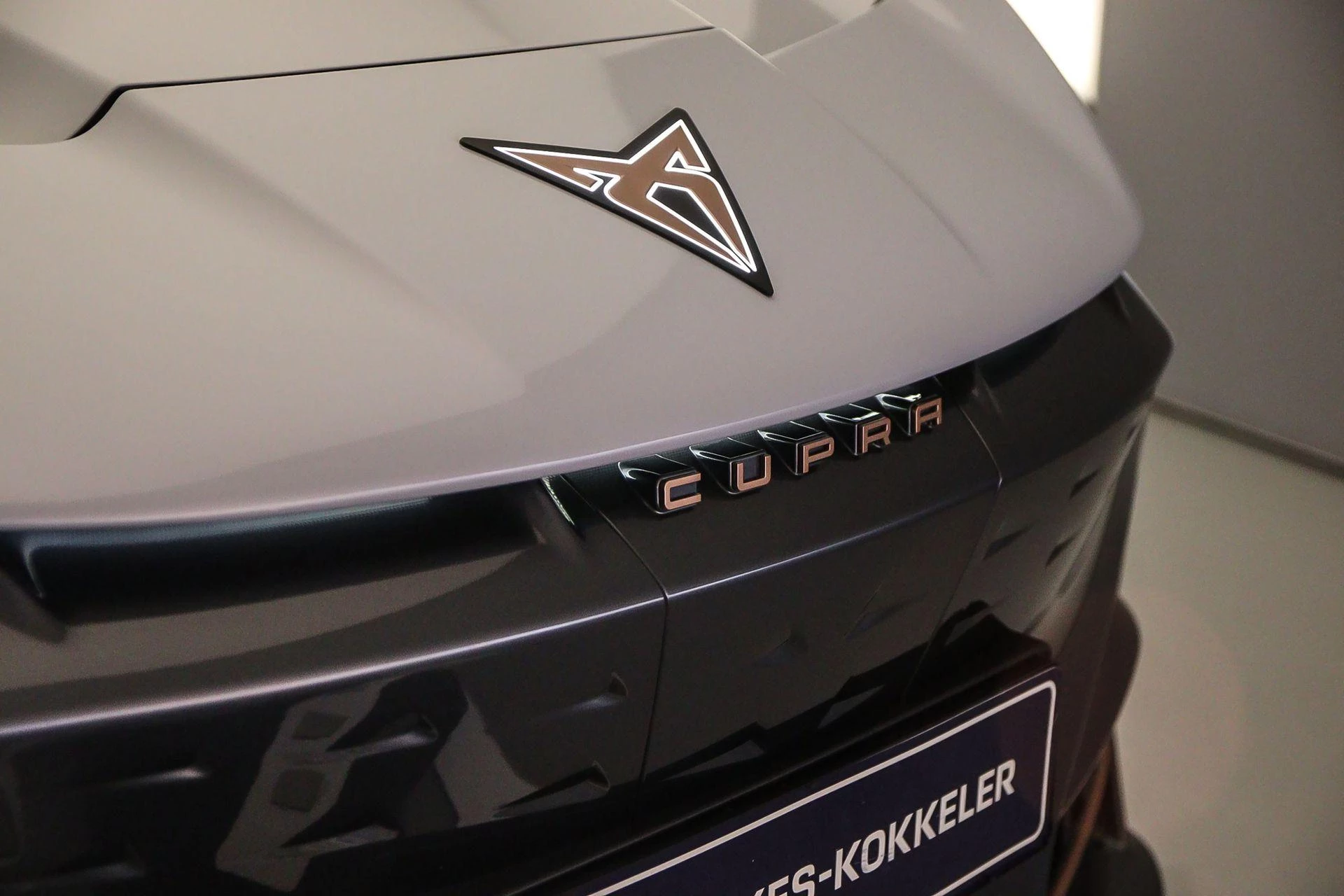 Hoofdafbeelding CUPRA Tavascan