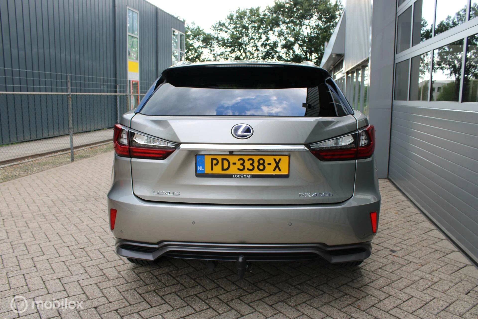 Hoofdafbeelding Lexus RX