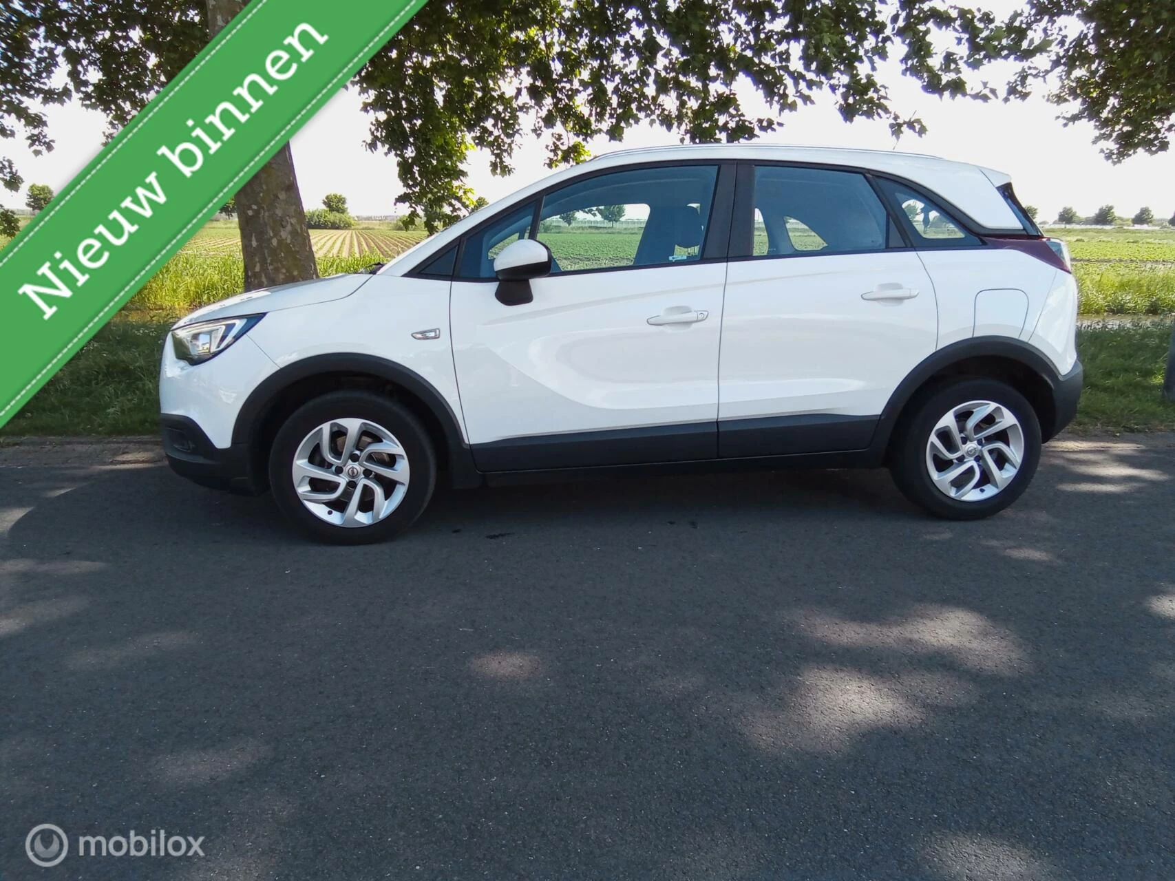 Hoofdafbeelding Opel Crossland X