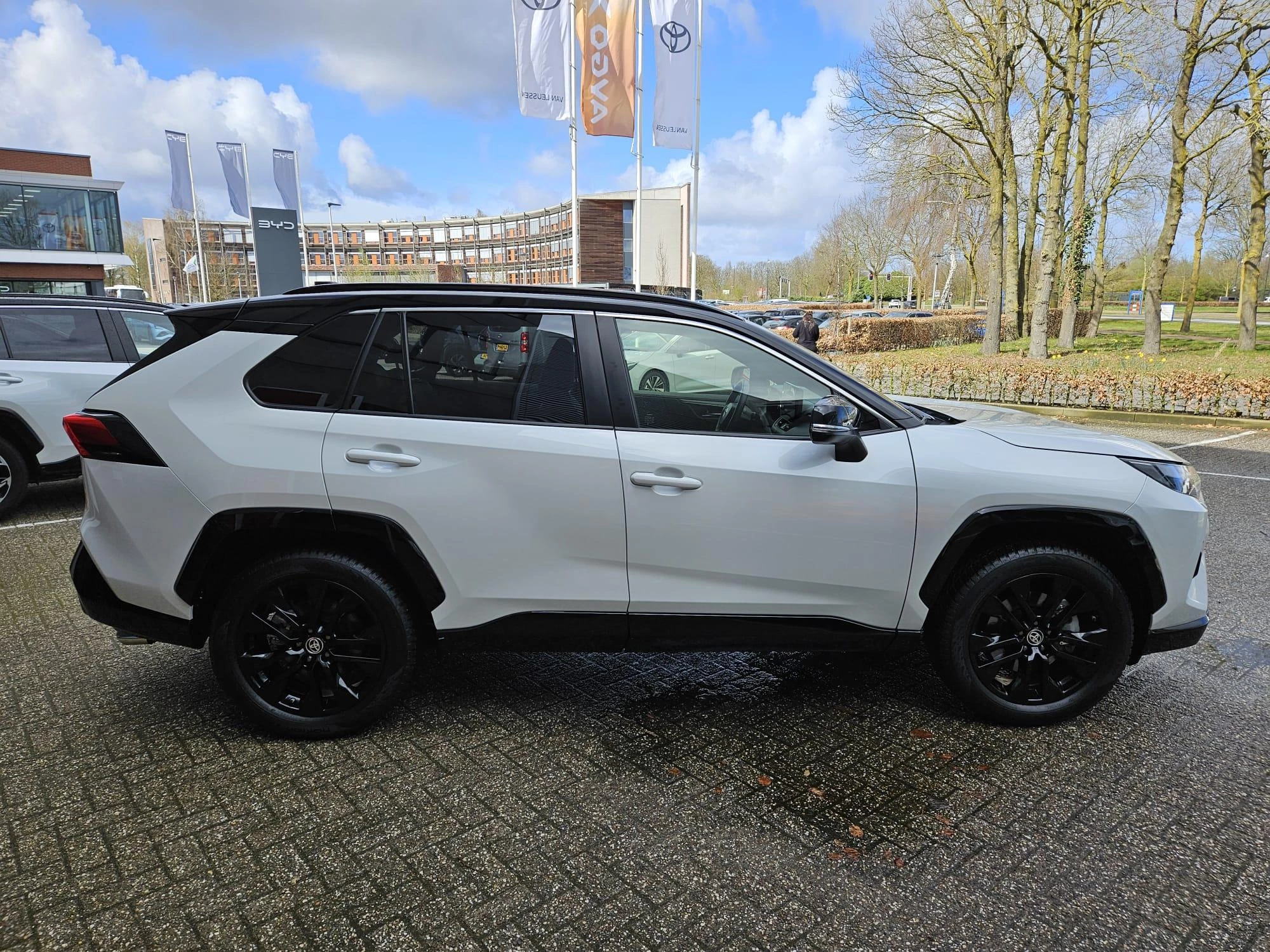 Hoofdafbeelding Toyota RAV4