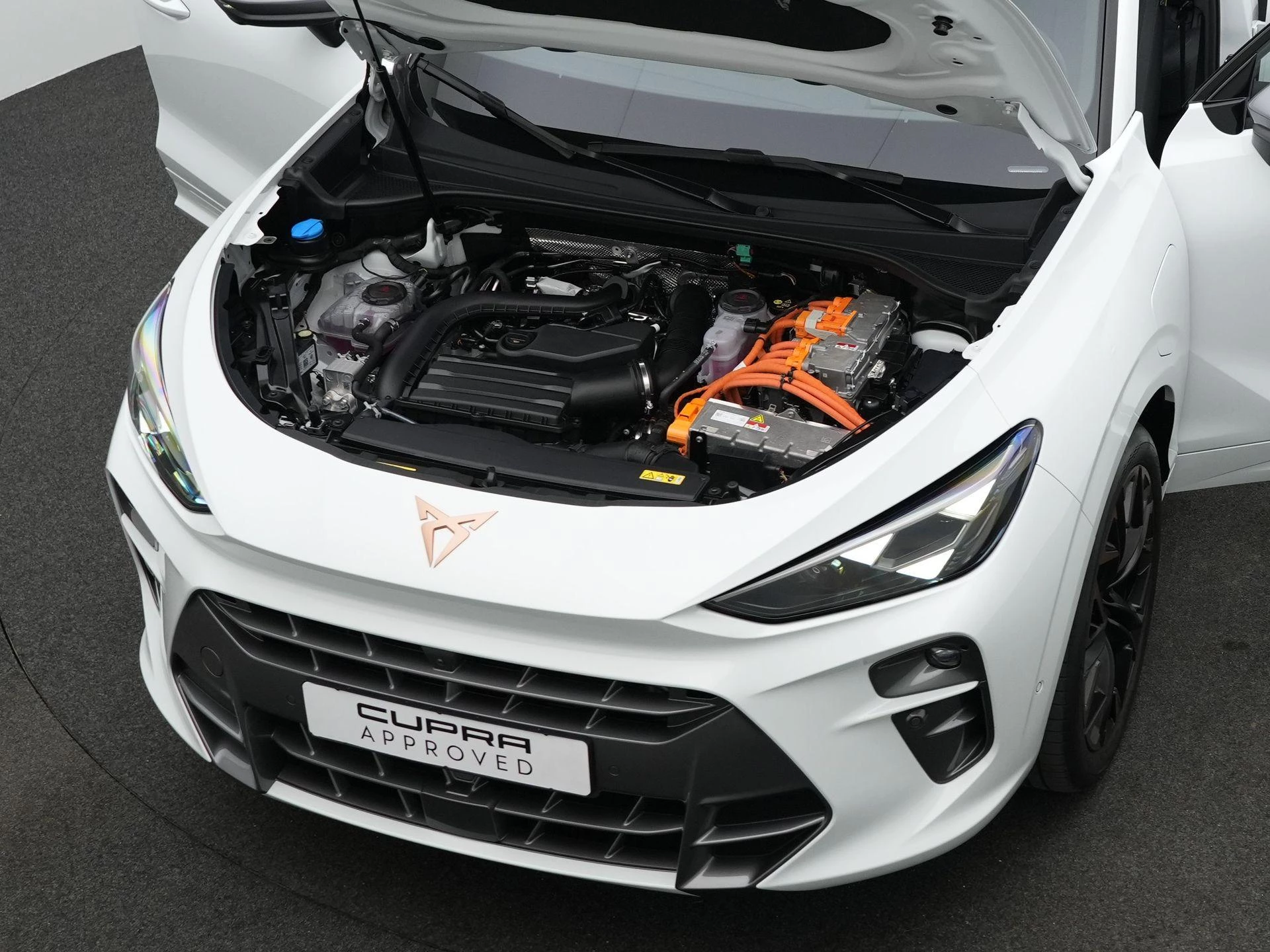 Hoofdafbeelding CUPRA Terramar