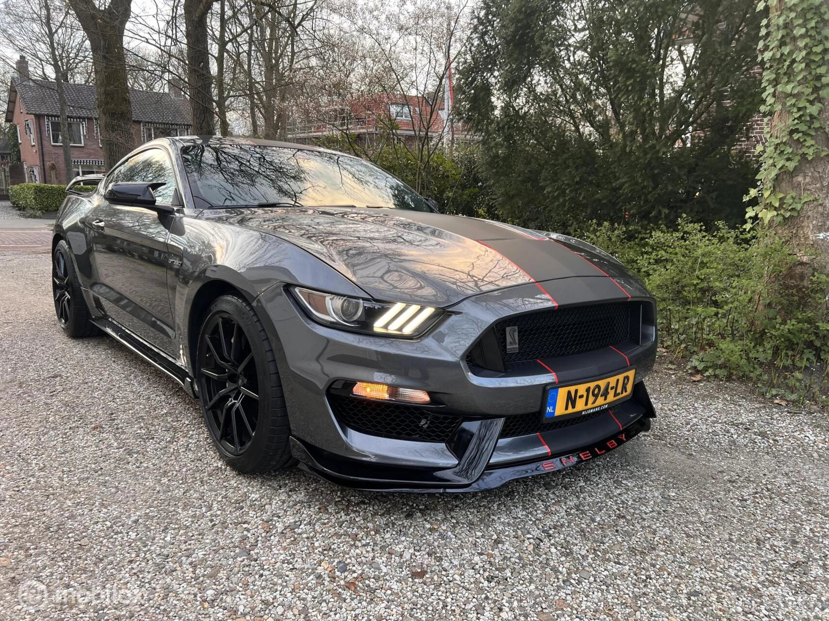 Hoofdafbeelding Ford GT