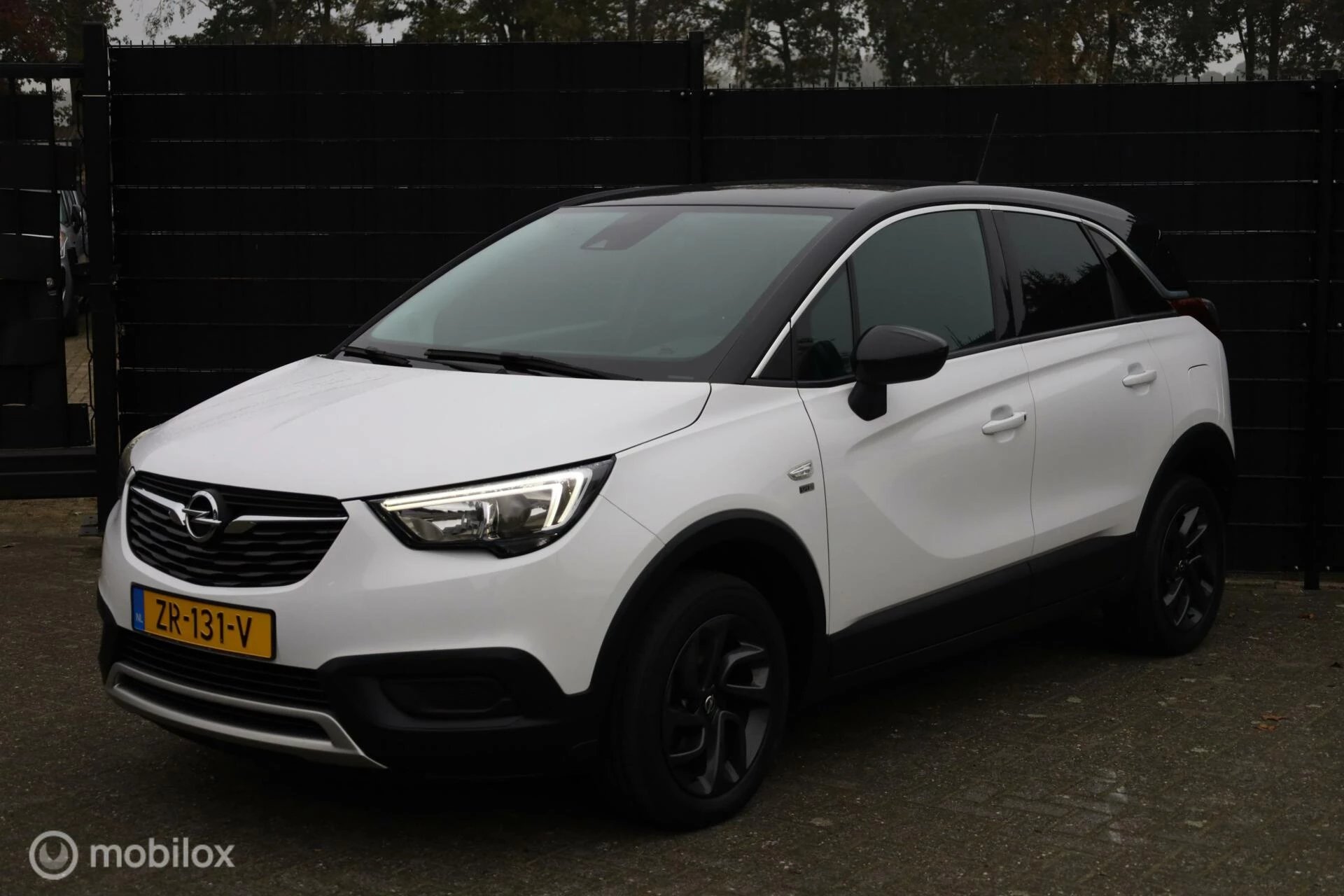 Hoofdafbeelding Opel Crossland X