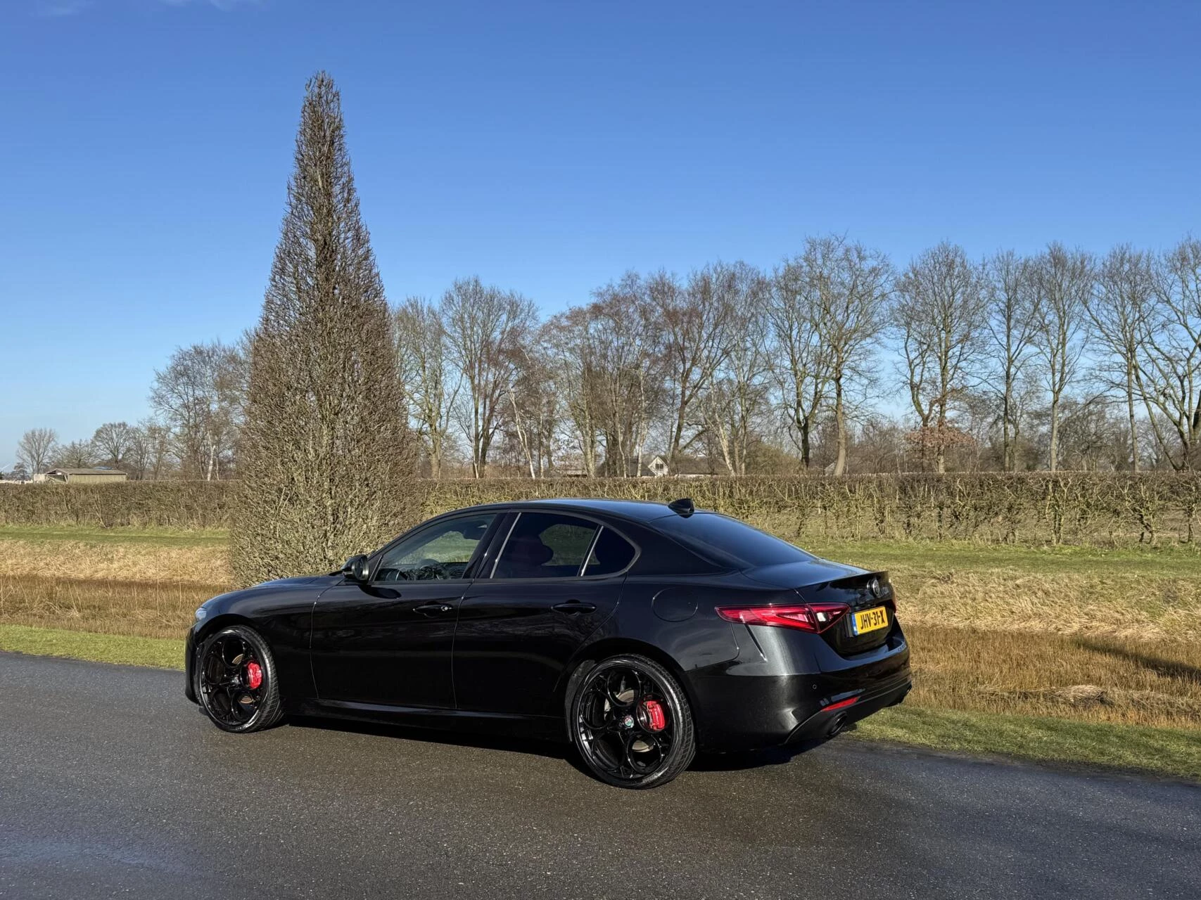 Hoofdafbeelding Alfa Romeo Giulia