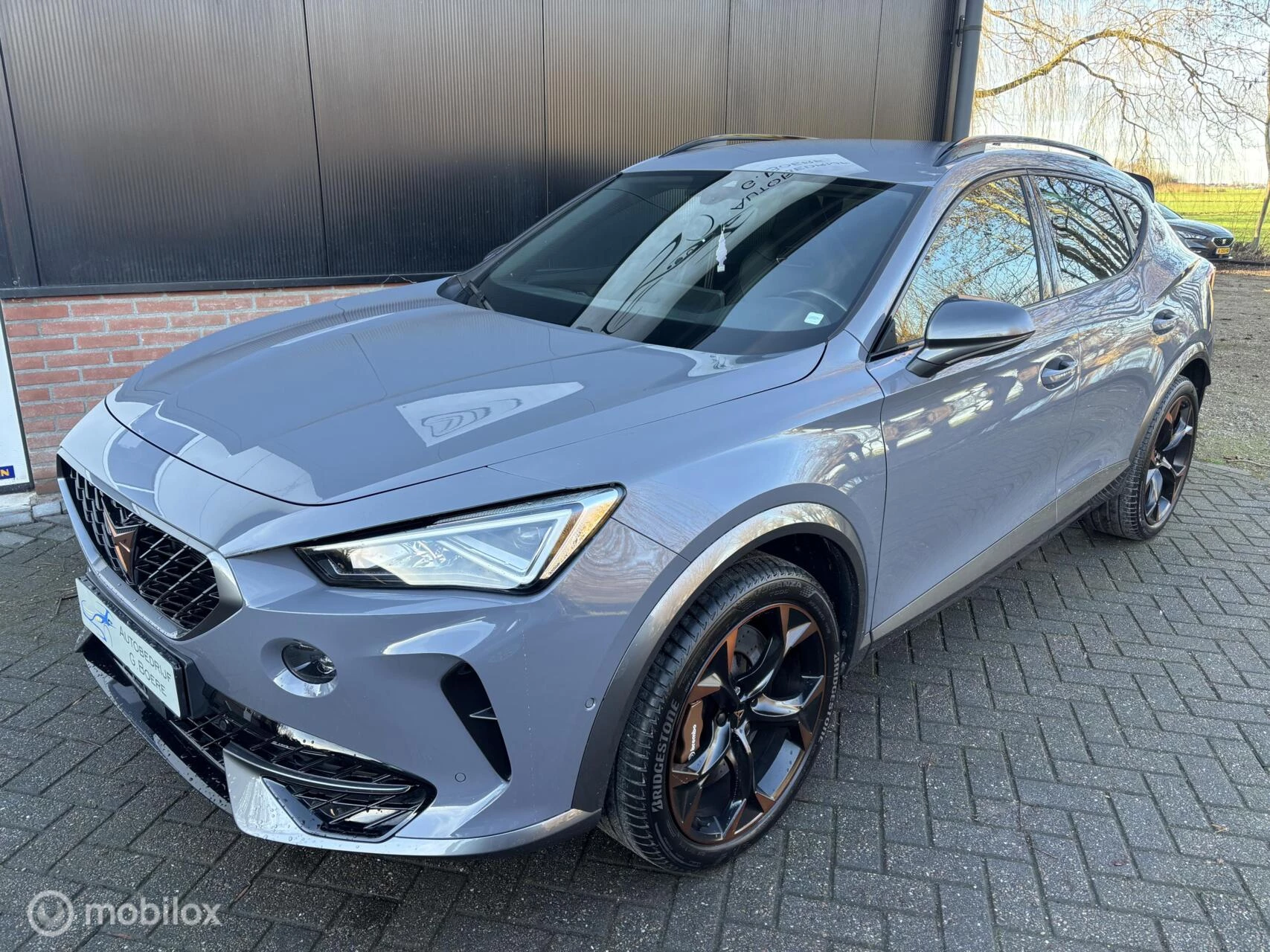 Hoofdafbeelding CUPRA Formentor