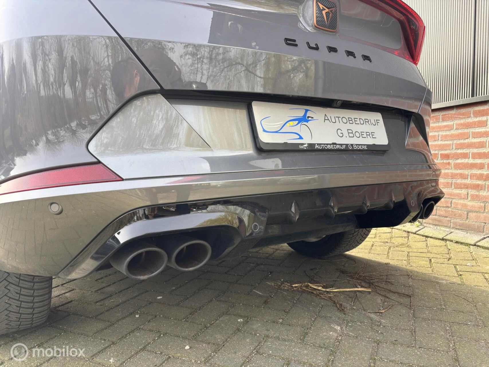 Hoofdafbeelding CUPRA Formentor