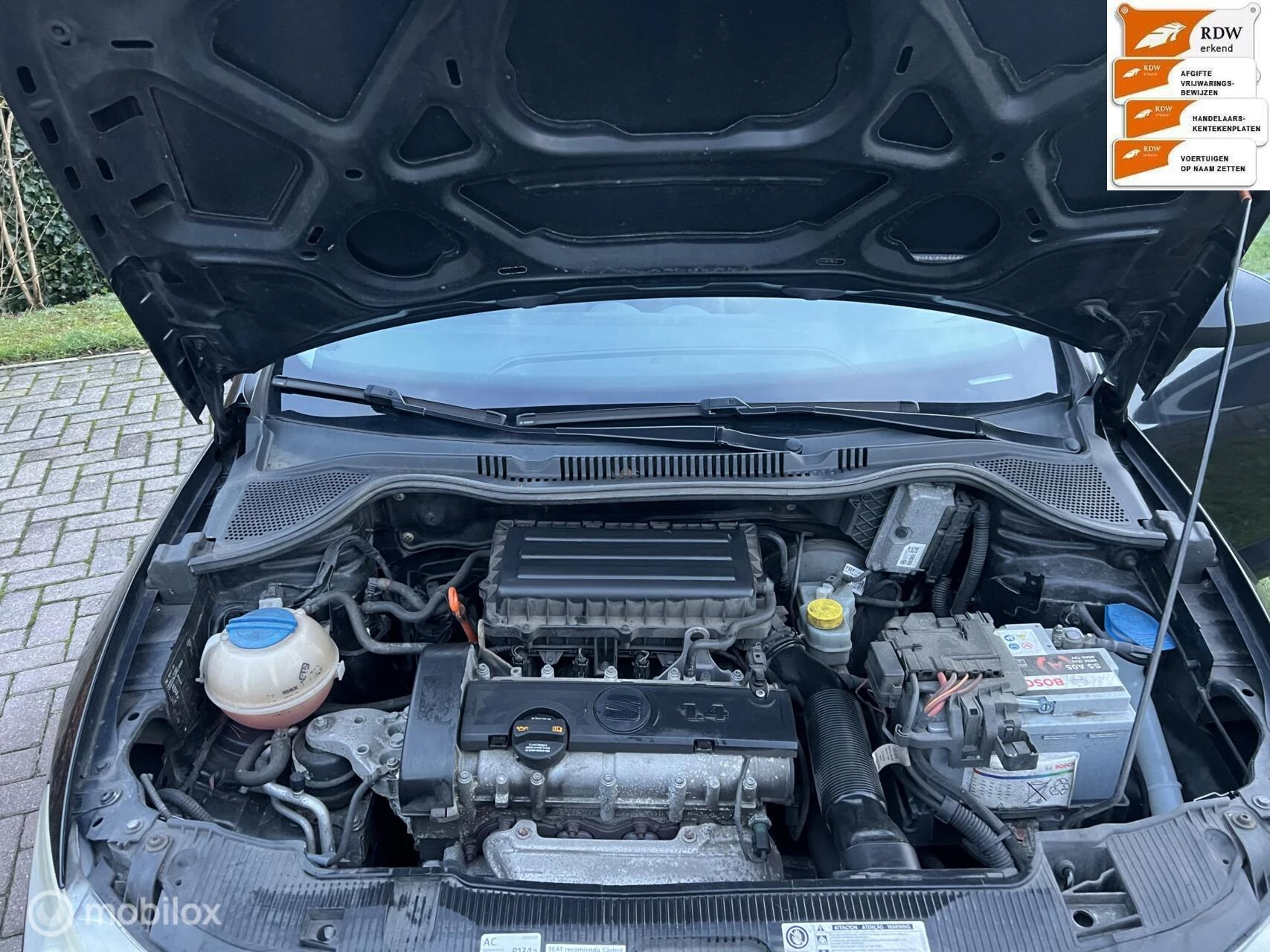 Hoofdafbeelding SEAT Ibiza