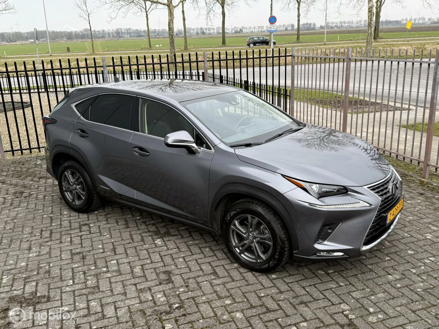 Hoofdafbeelding Lexus NX