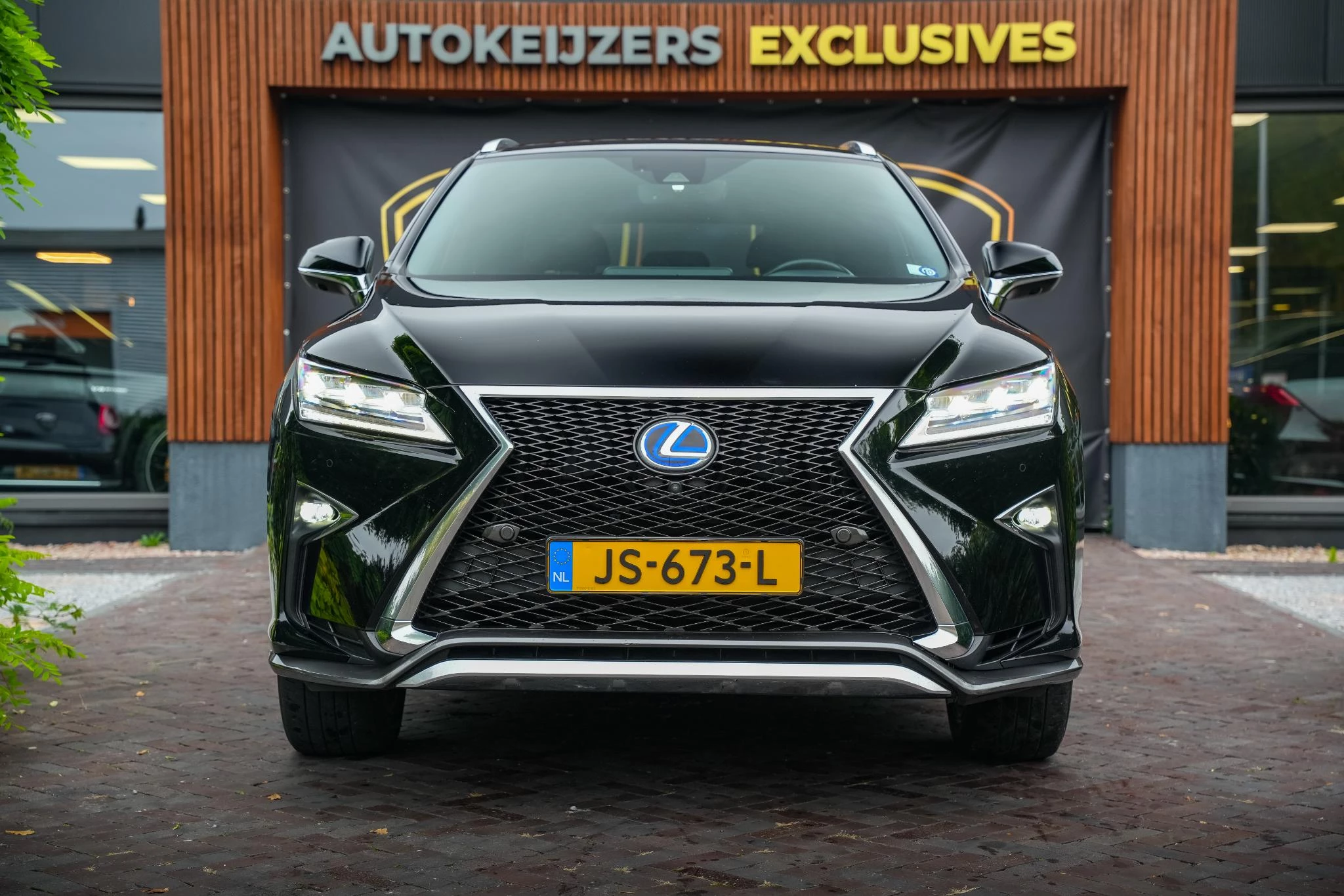 Hoofdafbeelding Lexus RX