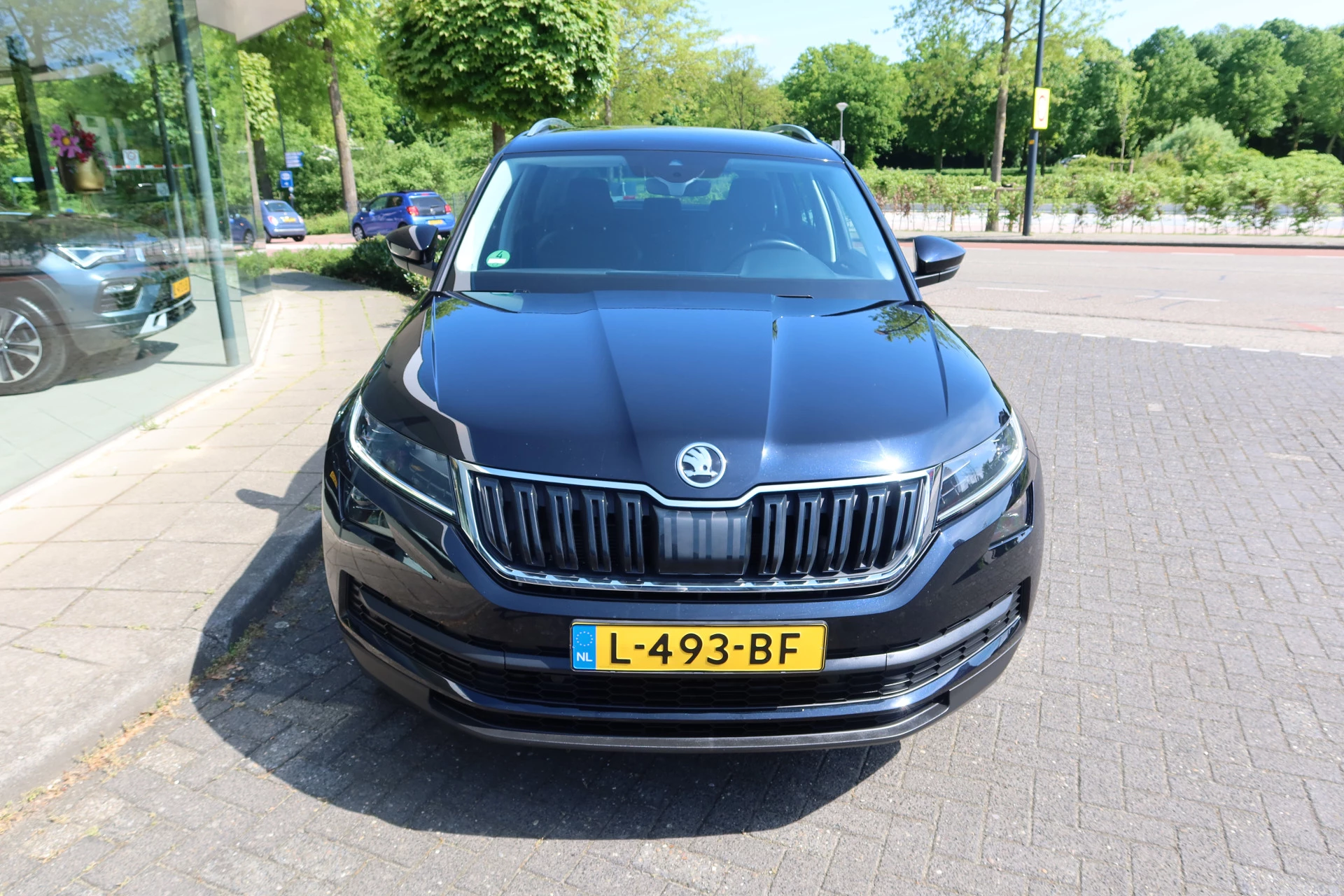 Hoofdafbeelding Škoda Kodiaq