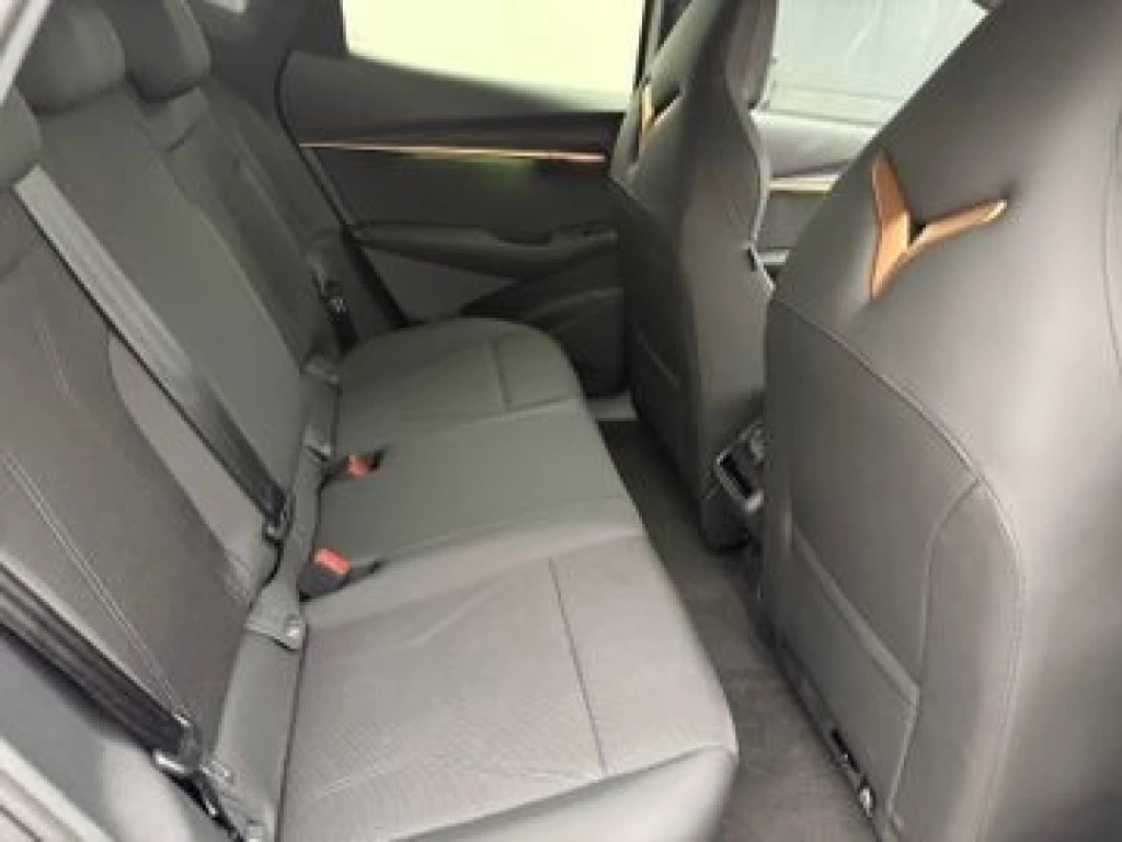 Hoofdafbeelding CUPRA Tavascan