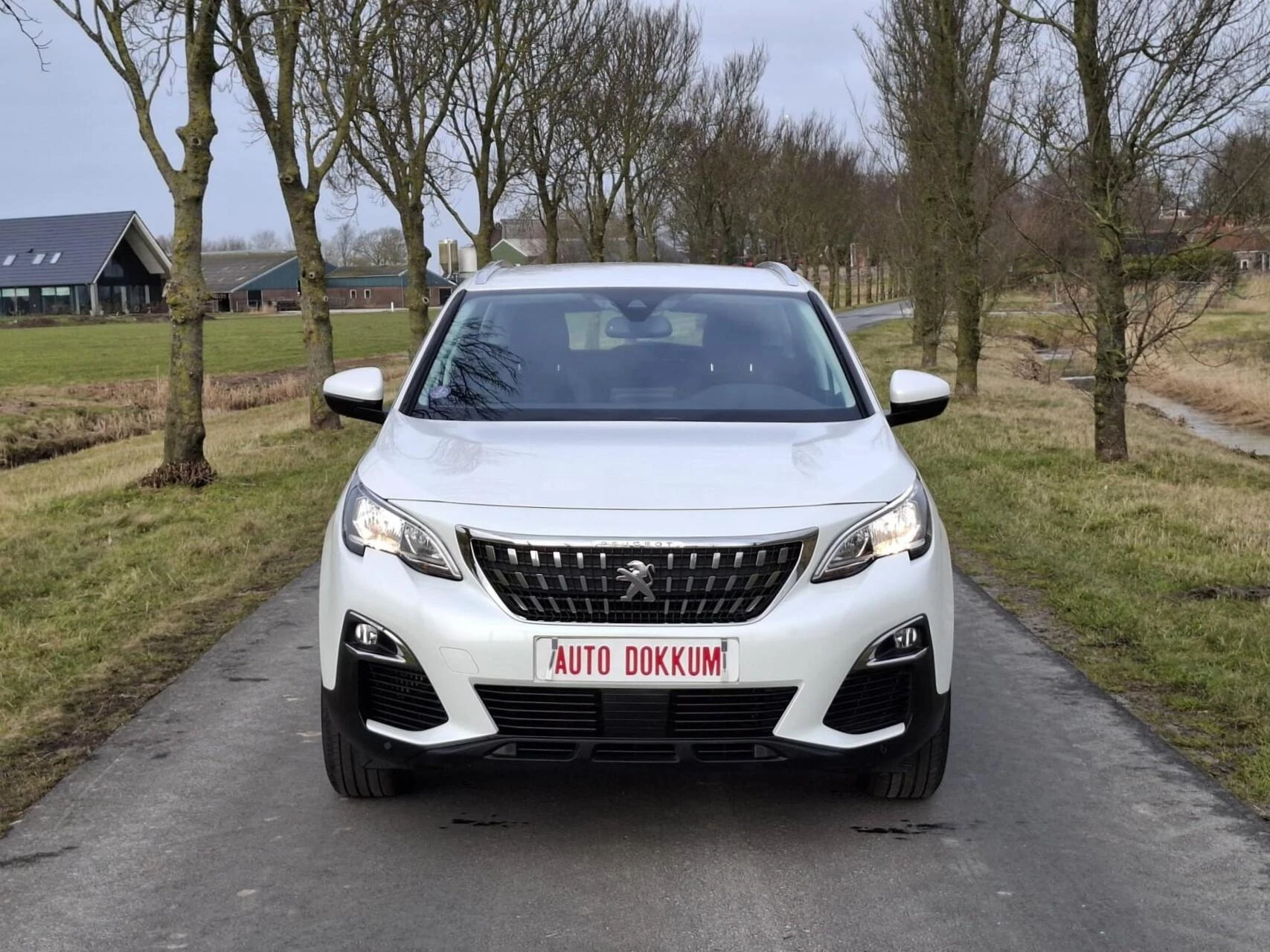 Hoofdafbeelding Peugeot 3008