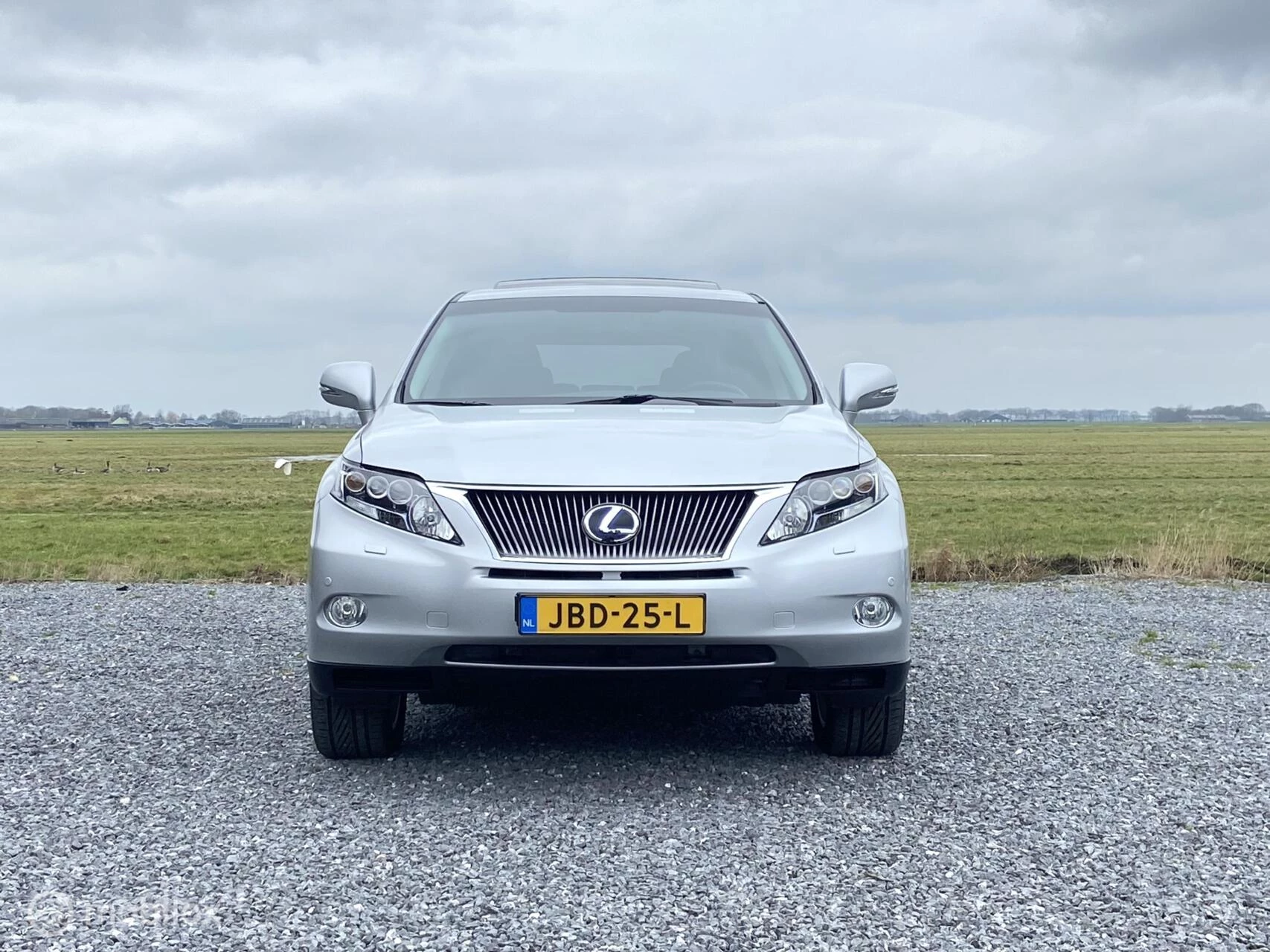 Hoofdafbeelding Lexus RX