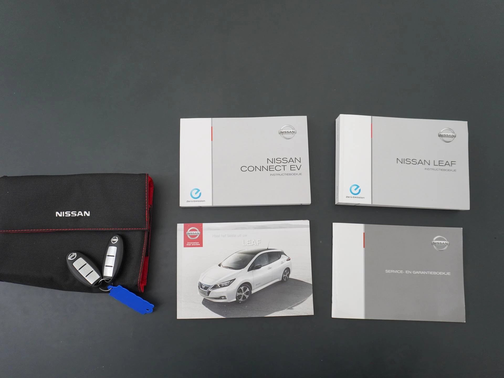 Hoofdafbeelding Nissan Leaf