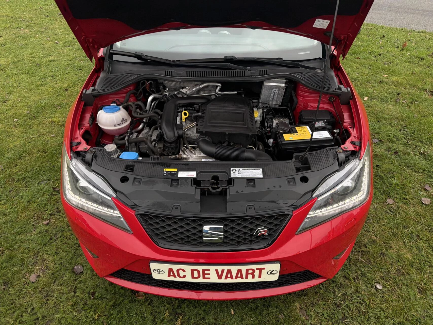 Hoofdafbeelding SEAT Ibiza