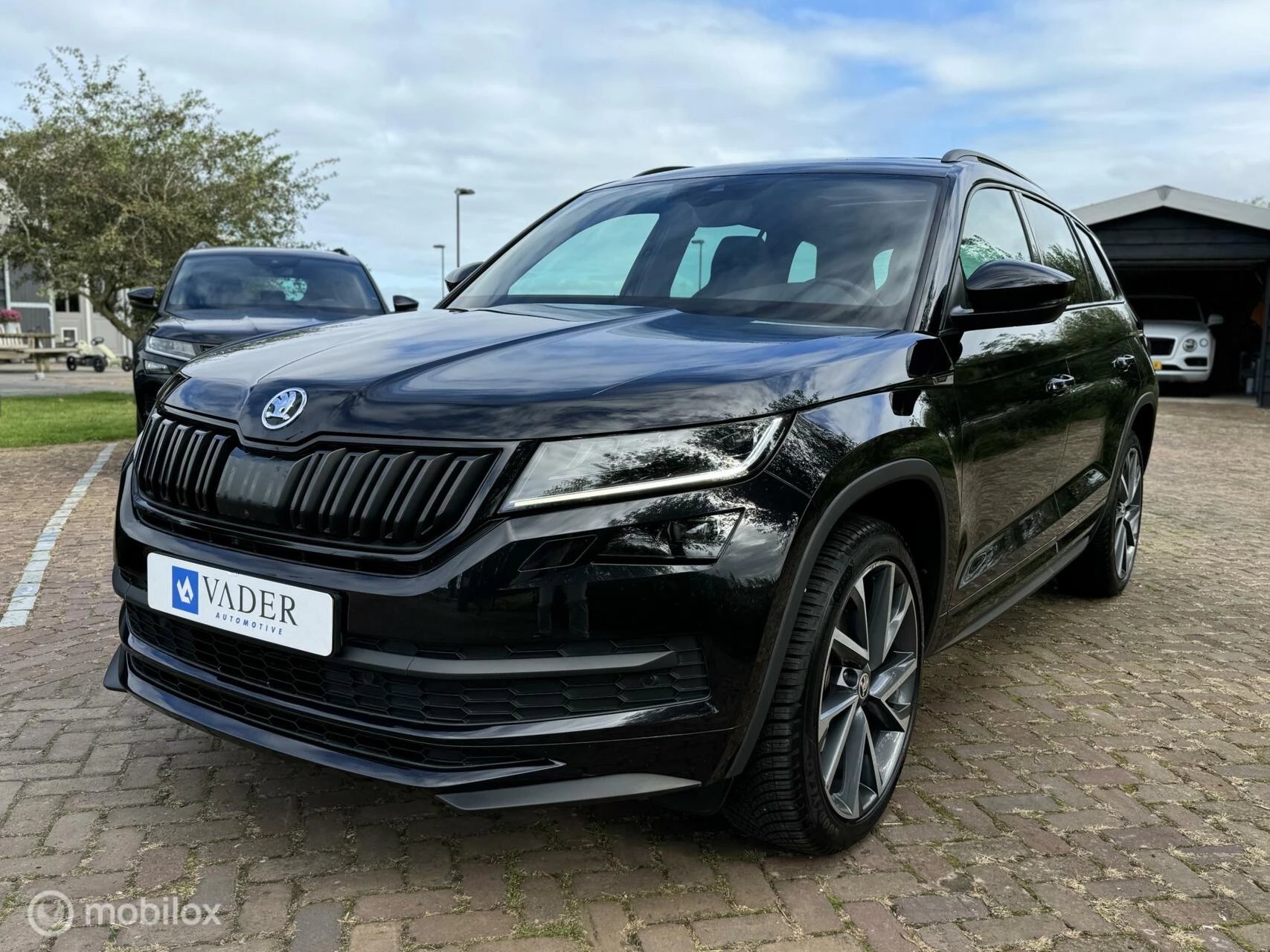 Hoofdafbeelding Škoda Kodiaq