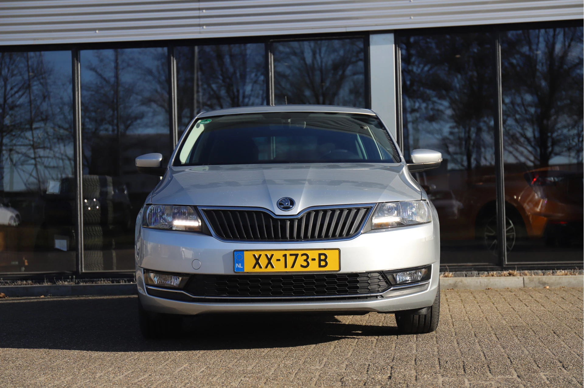 Hoofdafbeelding Škoda Rapid
