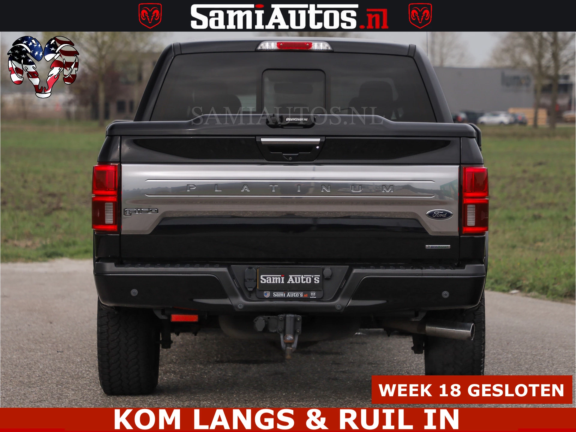 Hoofdafbeelding Ford F-150